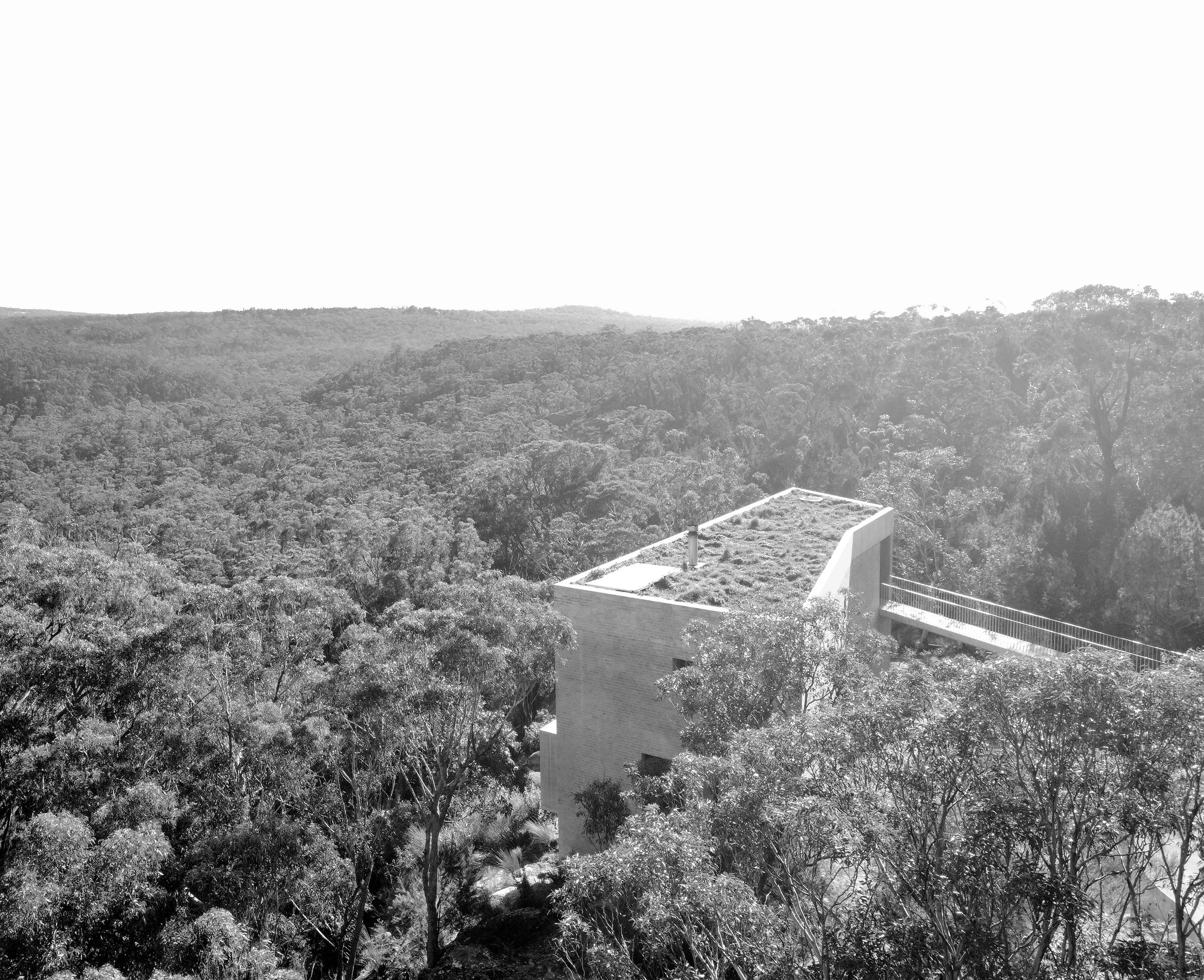 A black and white image of a rooftop in the foreground with high trees and a forested area in the background, and a hilly landscape in the distance.