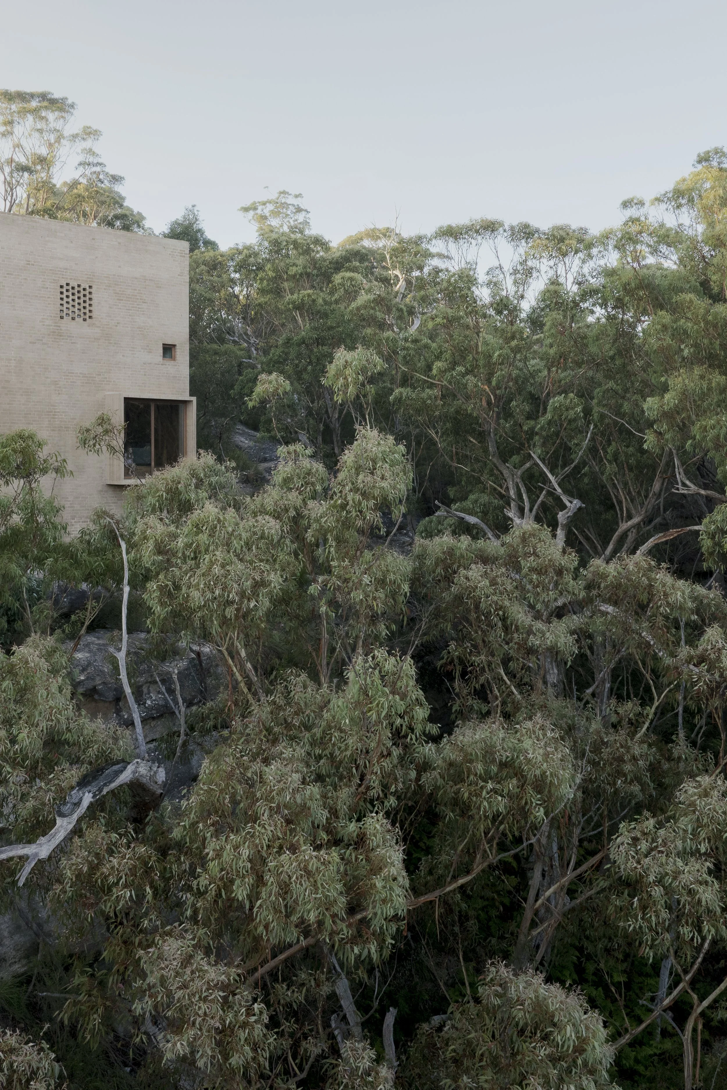 A modern brick house partially visible among tall eucalyptus trees with green foliage, hillside terrain, and a clear sky in the background.