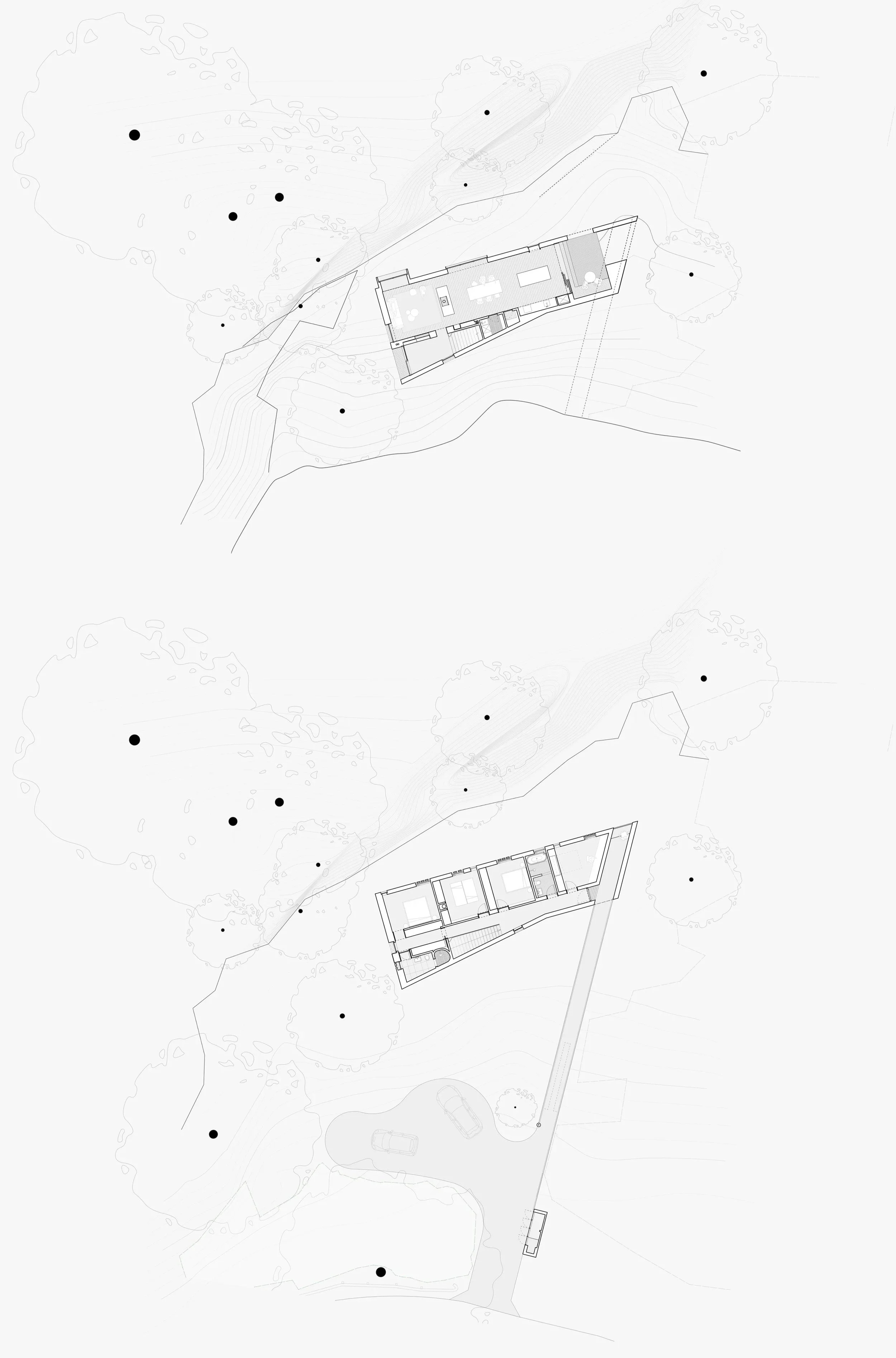 Architectural Floor plan showing building surrounded by trees, contour lines indicating terrain elevation. Difficult terrain. Architectural presentation plan drawing