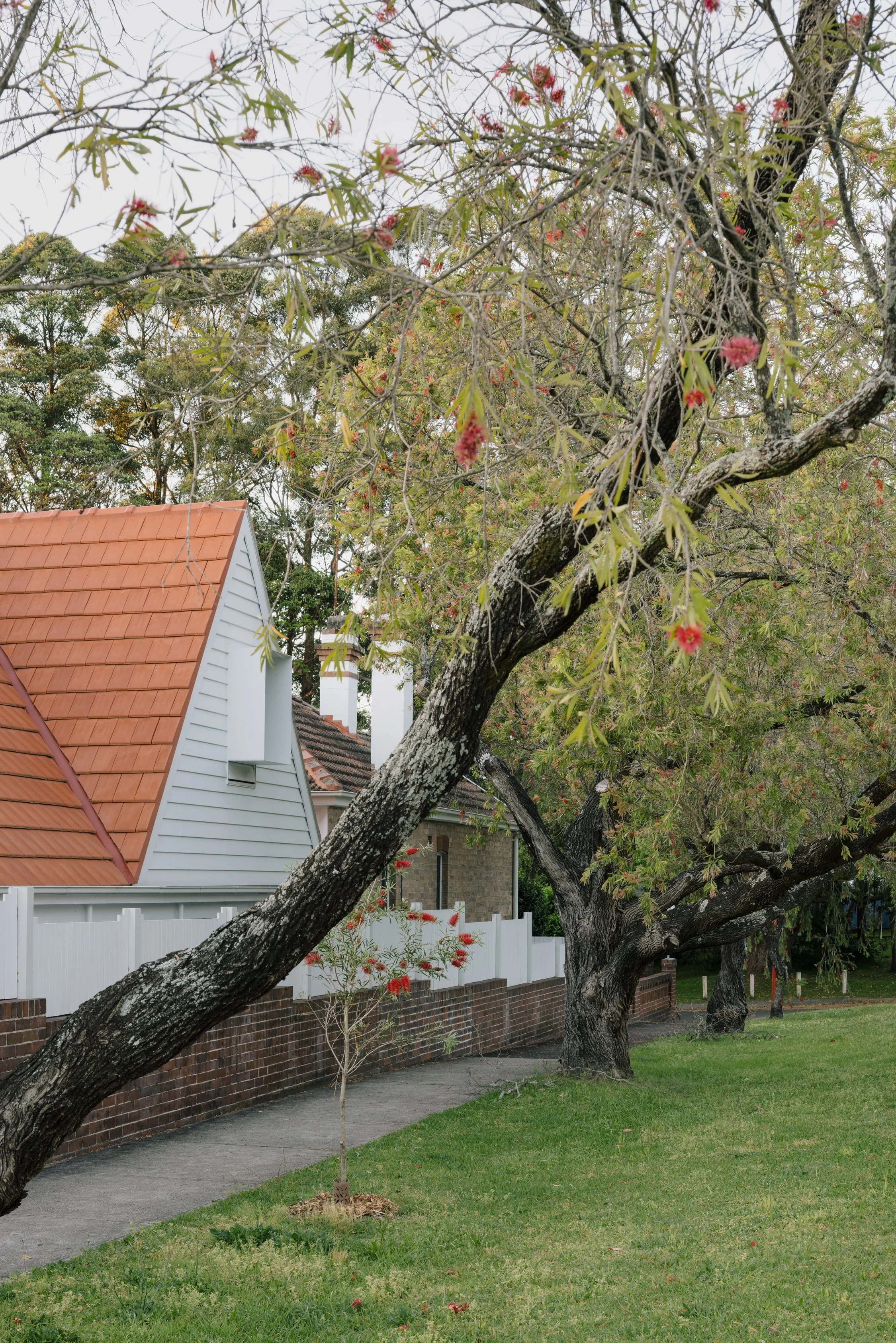 North Sydney Heritage Architecture addition. Design and interiors all done by Bokey Grant