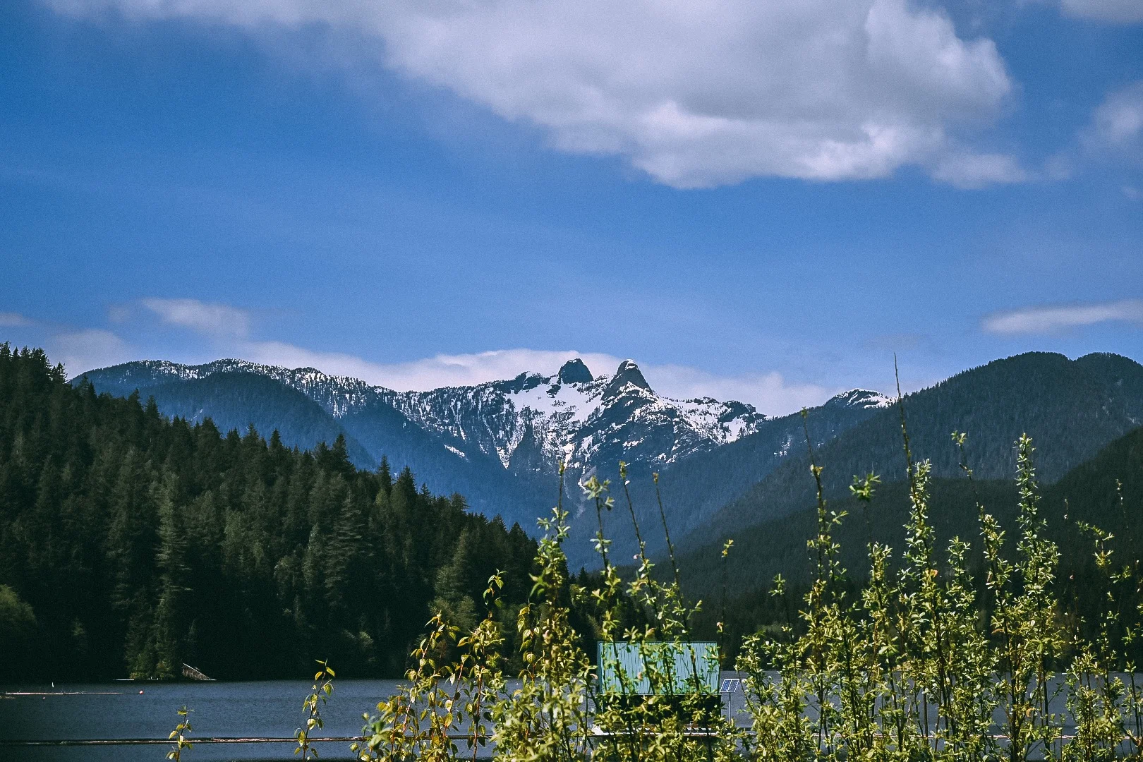DSC_9722.jpg