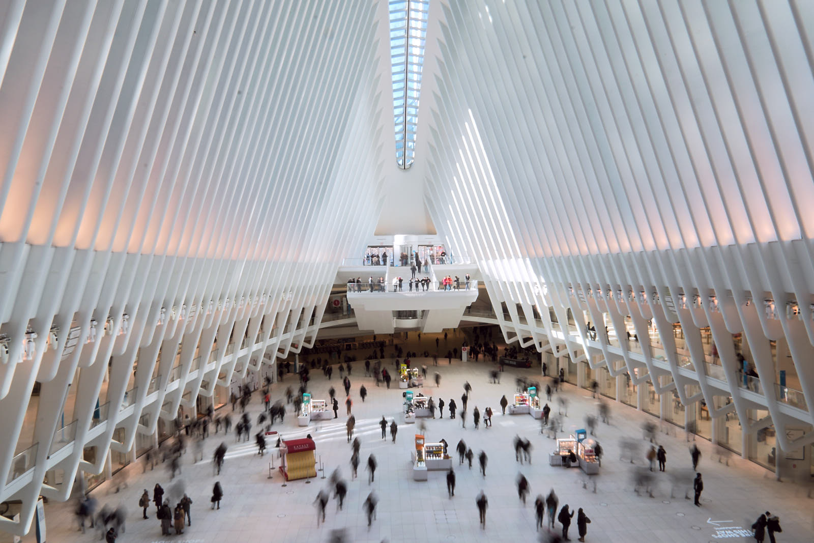 The Oculus