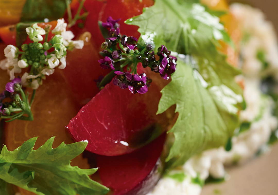 summer-salad.png