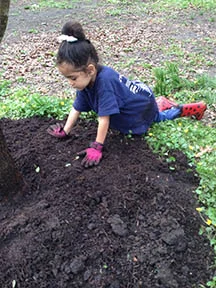 Digging in to Save Streams