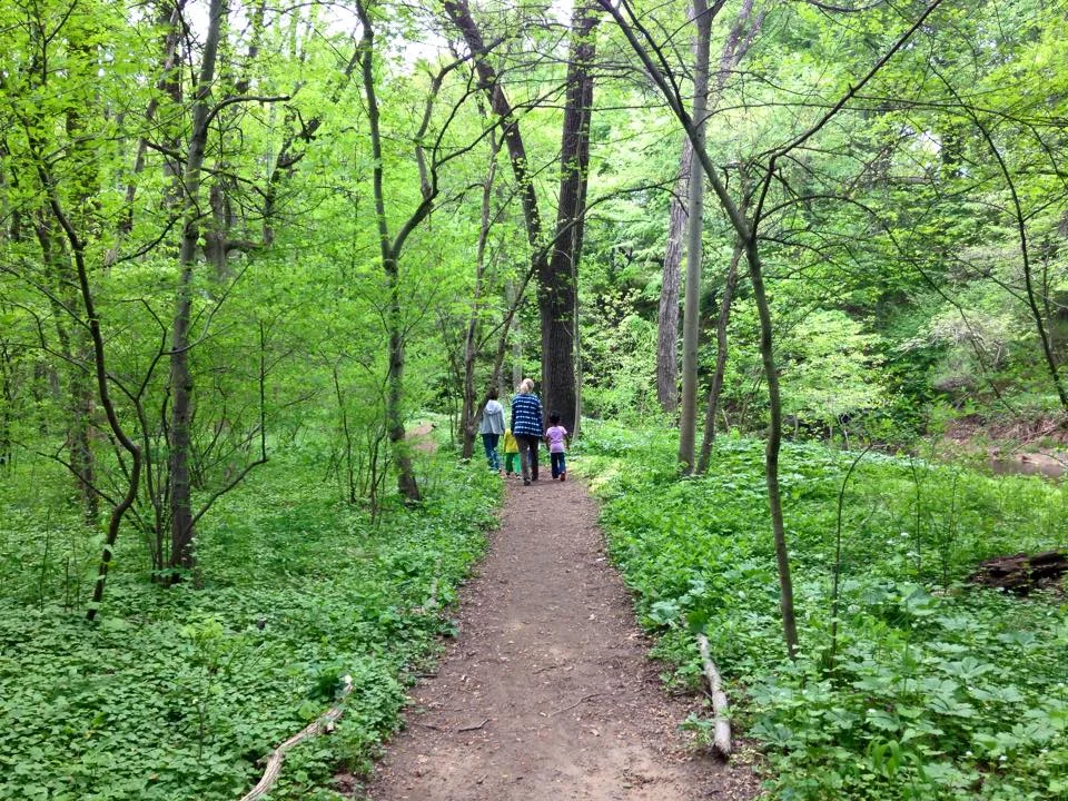 Improve access to nature