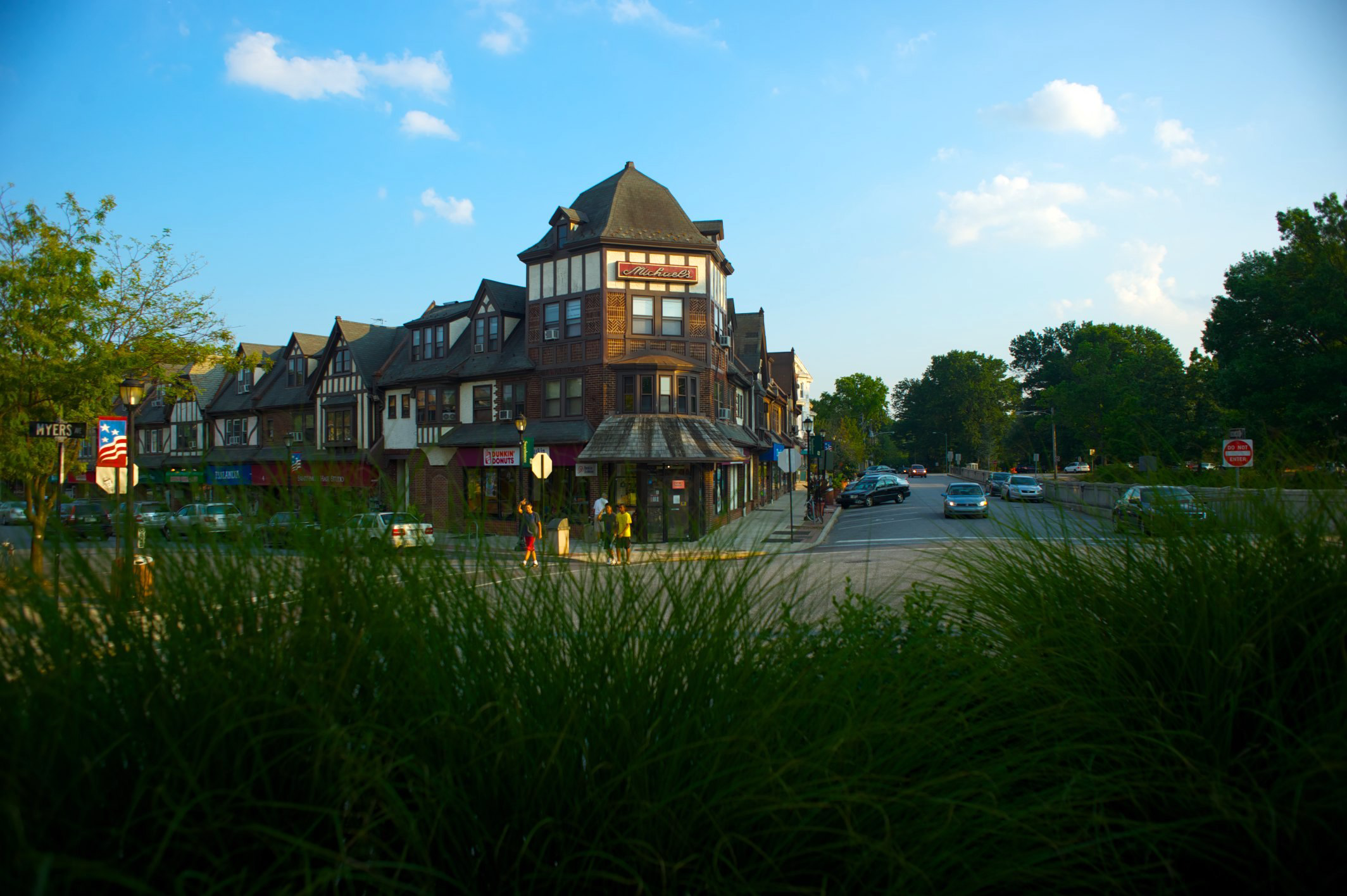 More on revitalization study