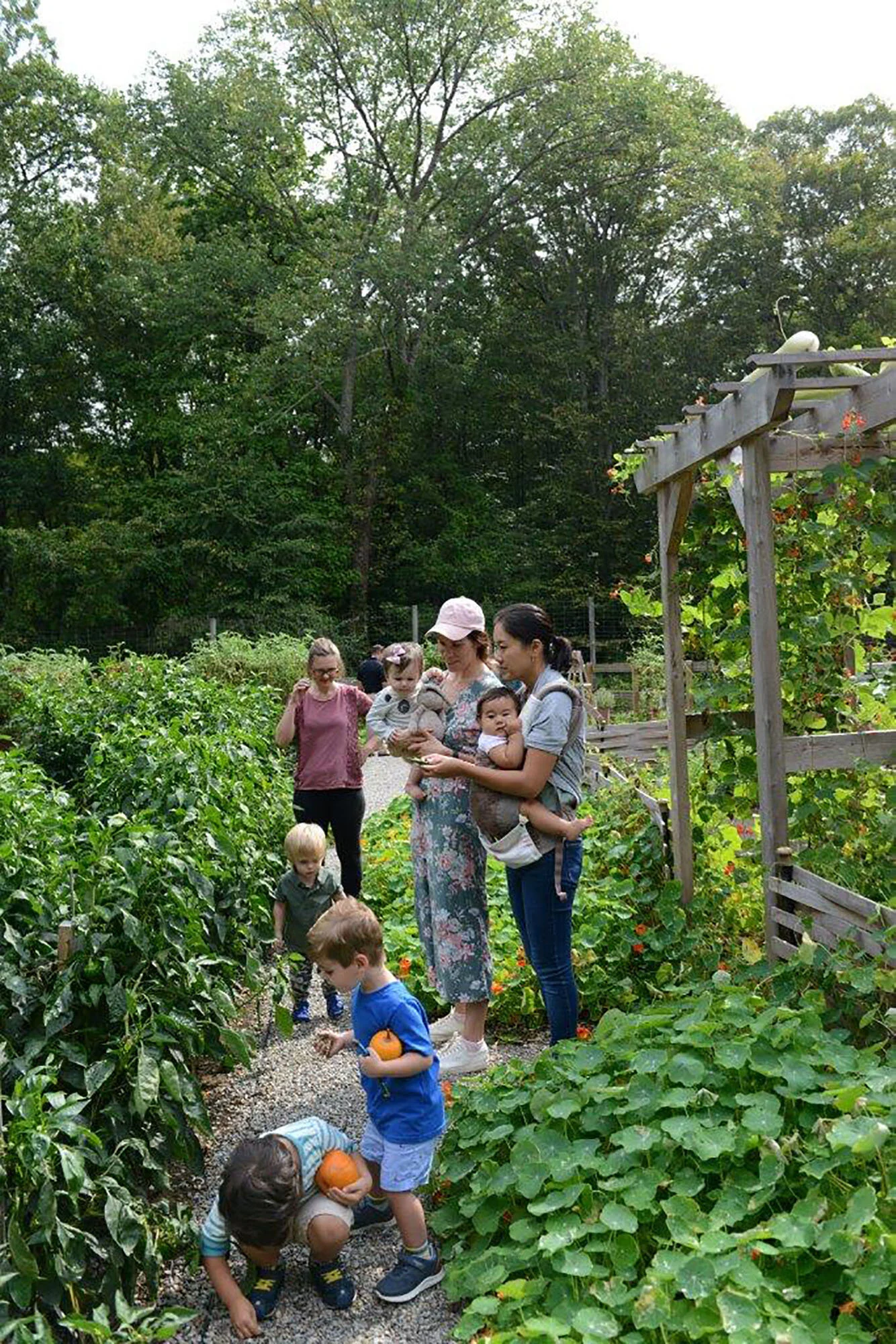 Toddlers, mothers, and others meander among garden beds at Tyler. Photo by Tracy Clark.