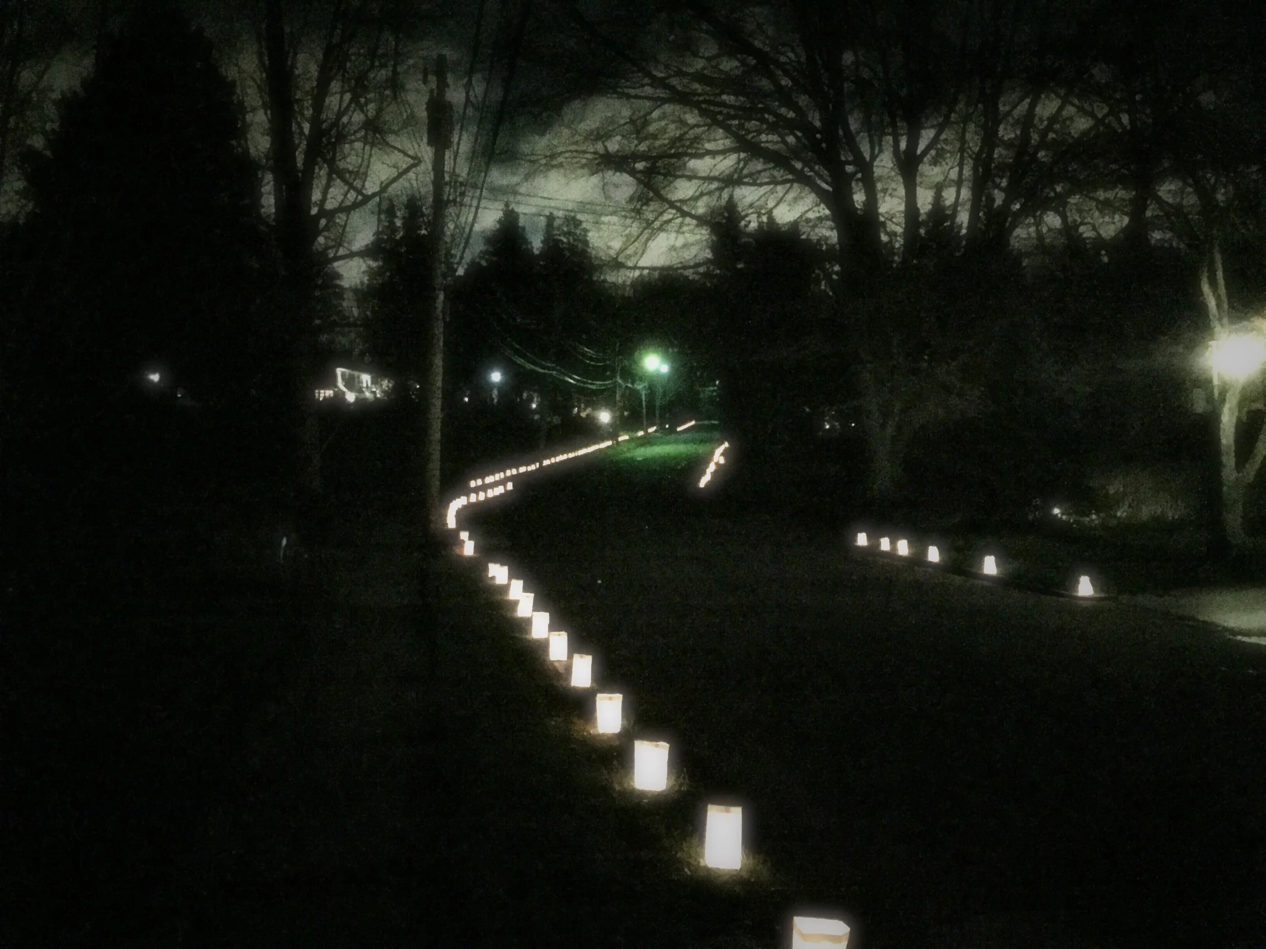 Help Luminaria light the way