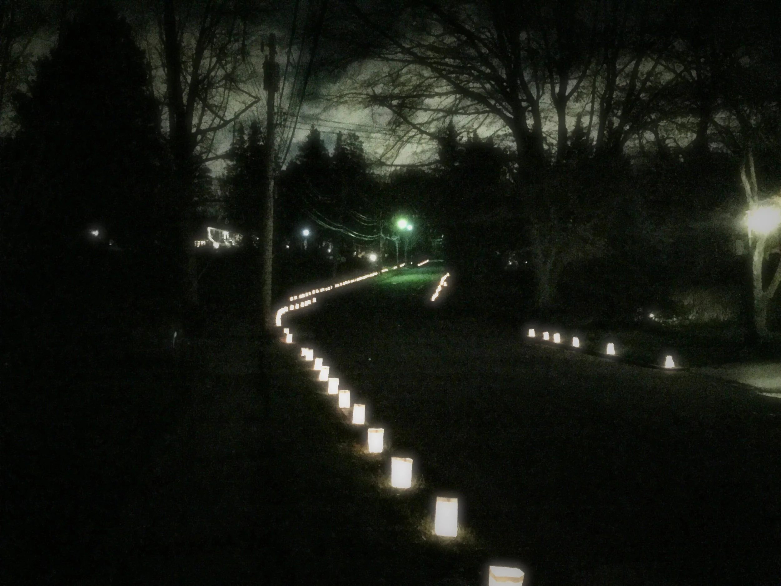 Order Luminaria Now