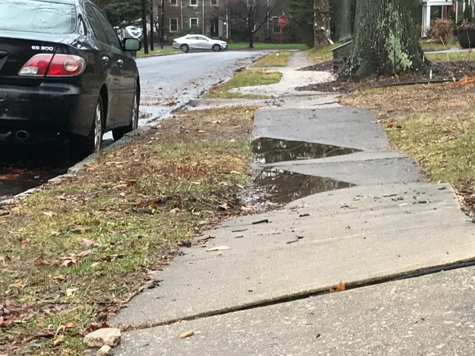 Swarthmore Borough Council Considers 2020 Budget
