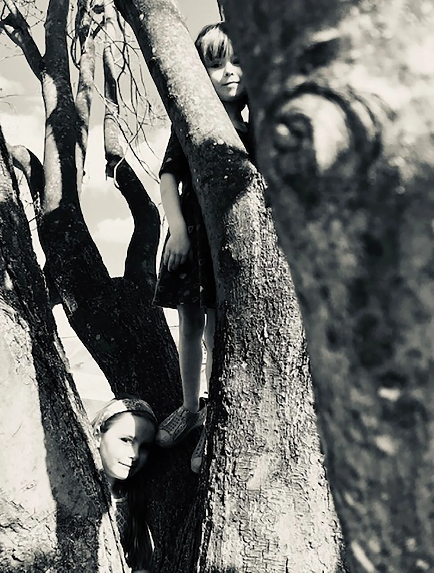 Finding Beauty in Isolation