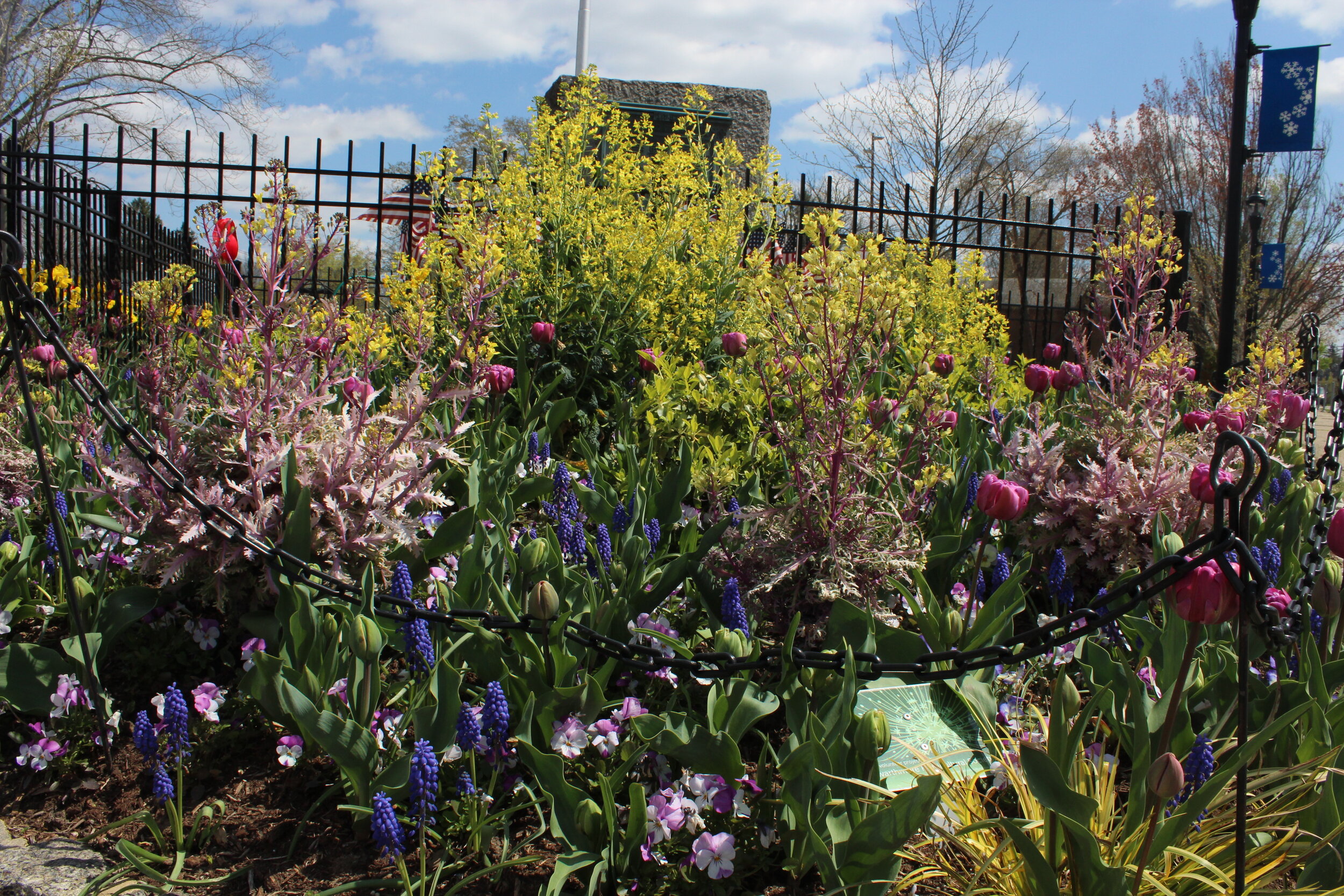 Cool Days, Long Blooms