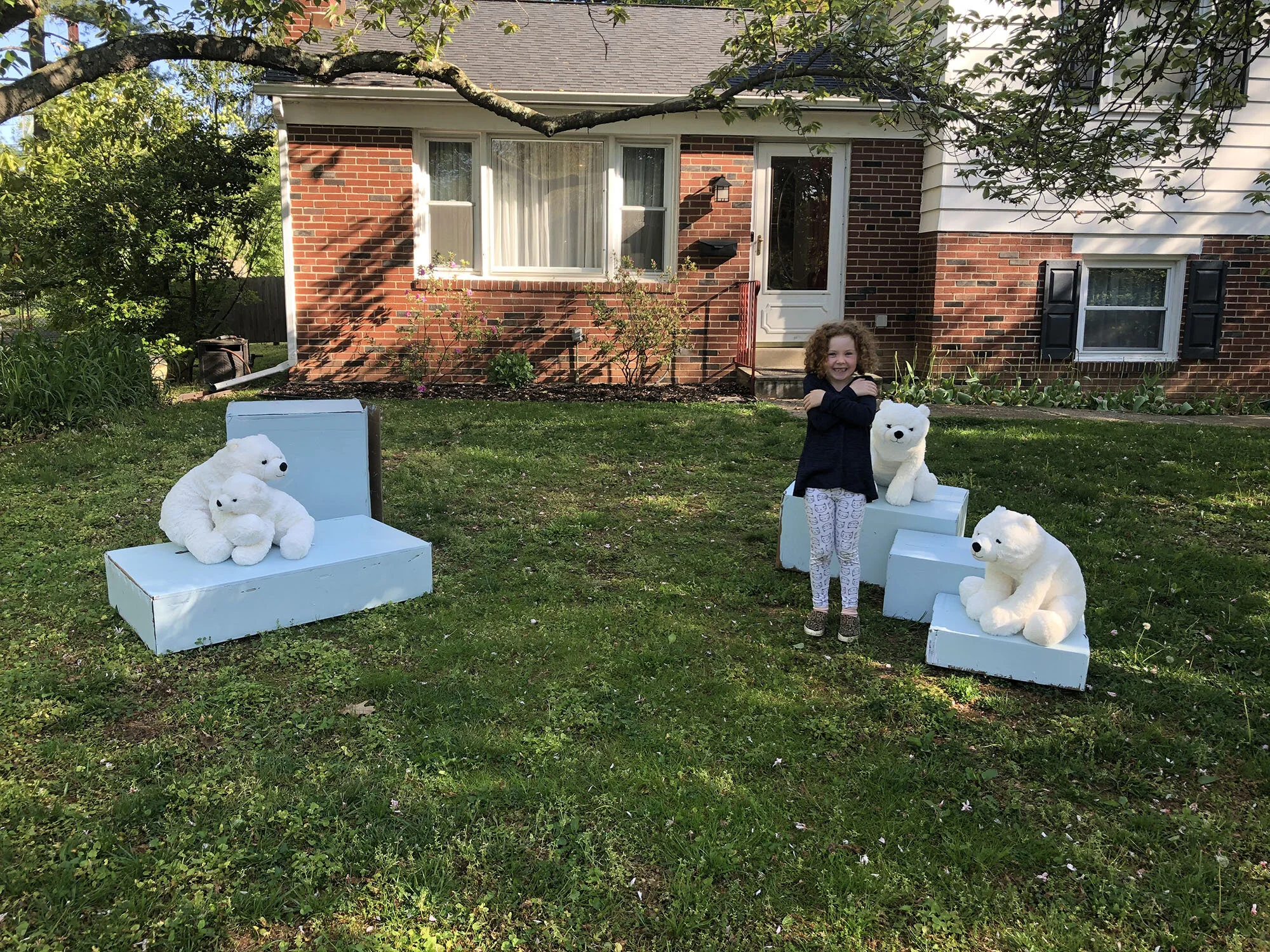 Students Set Up "Zoo" Exhibits at Home