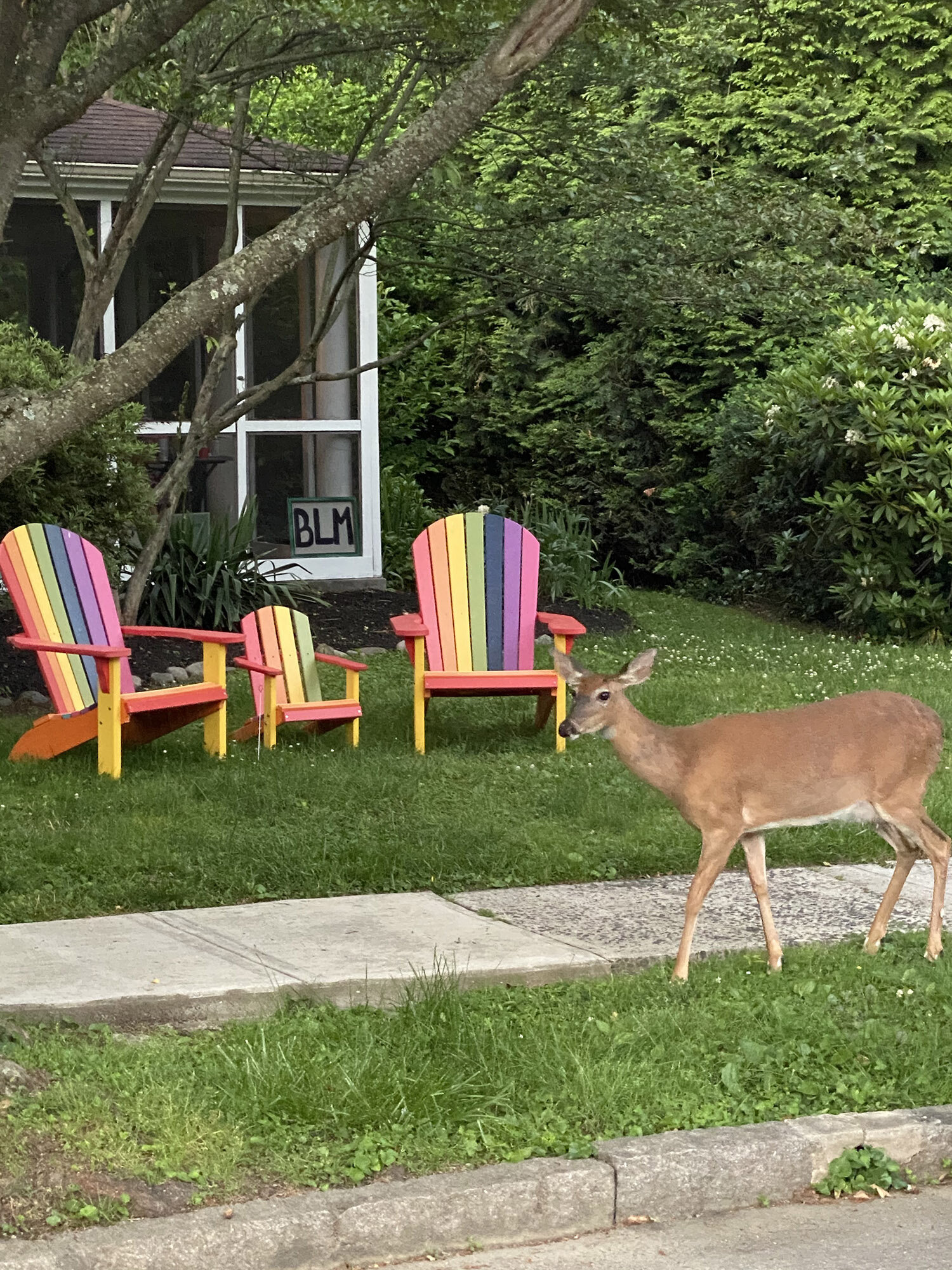 Gardening With Deer