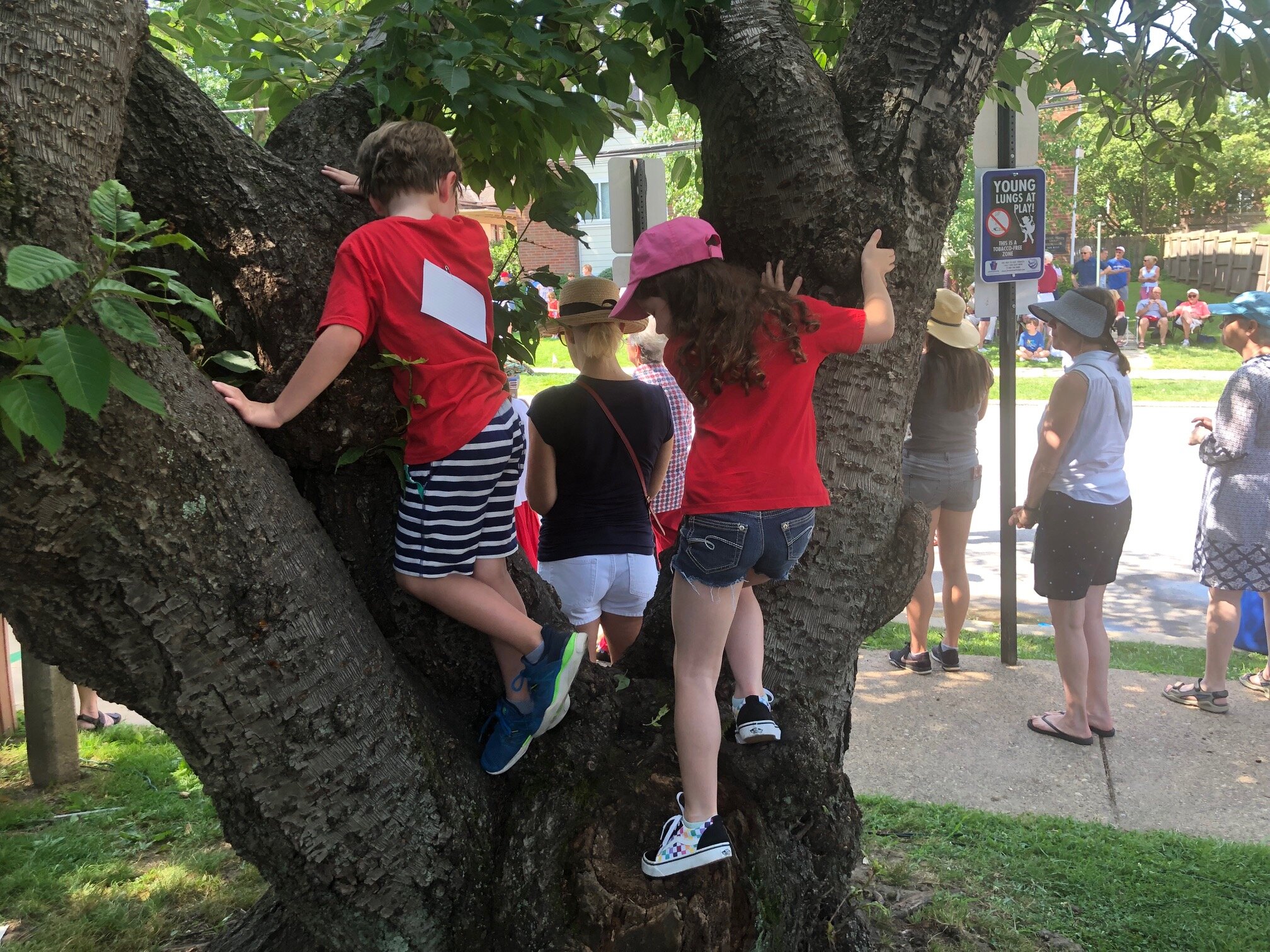 7-12 w-swarthmore kids on tree.jpg