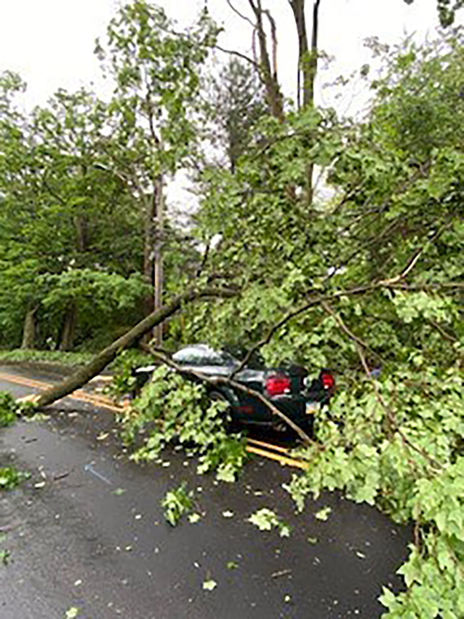 Police Blotter from Swarthmore Police Chief Raymond C. Stufflet - June 2-22