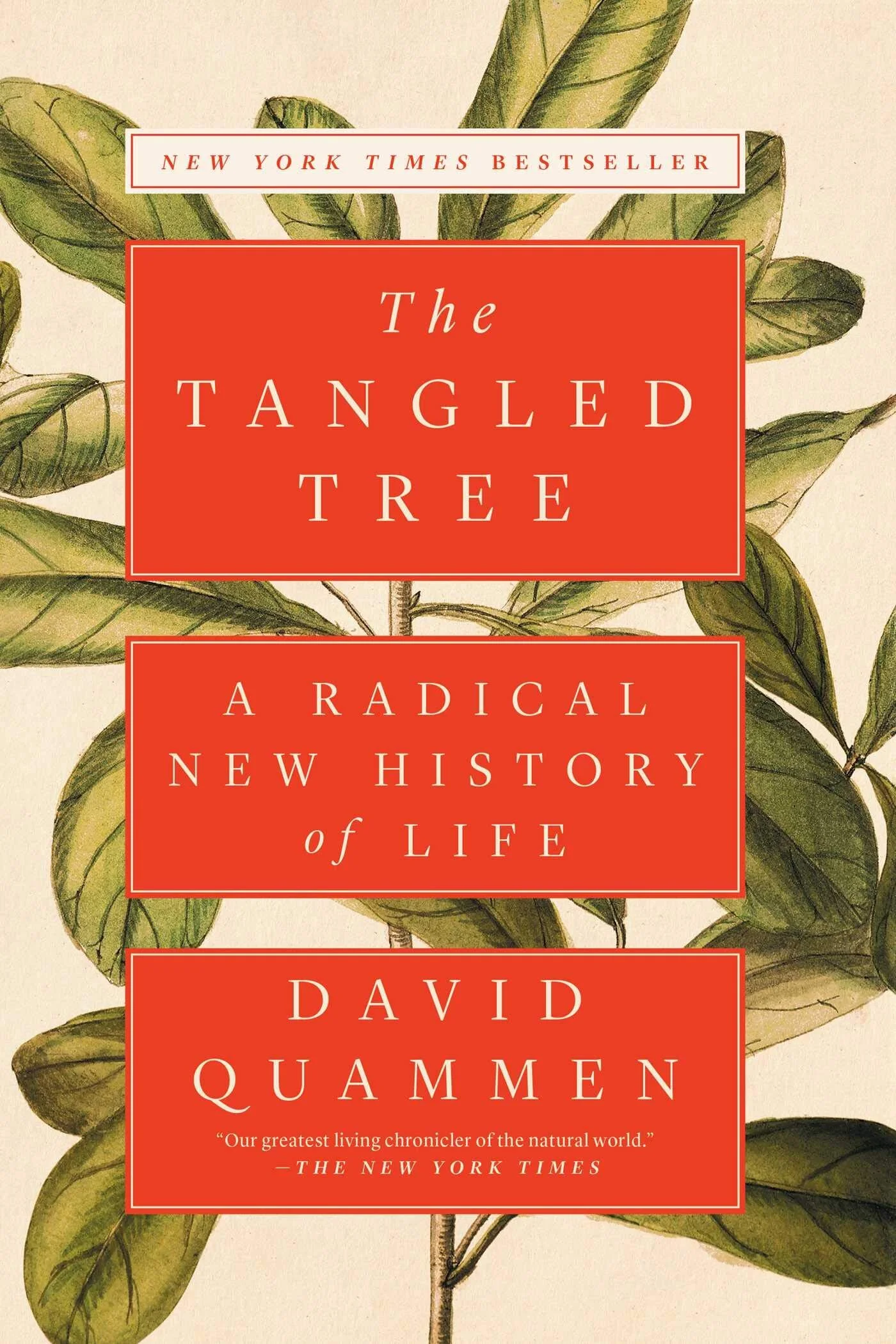 TangledTree.jpg