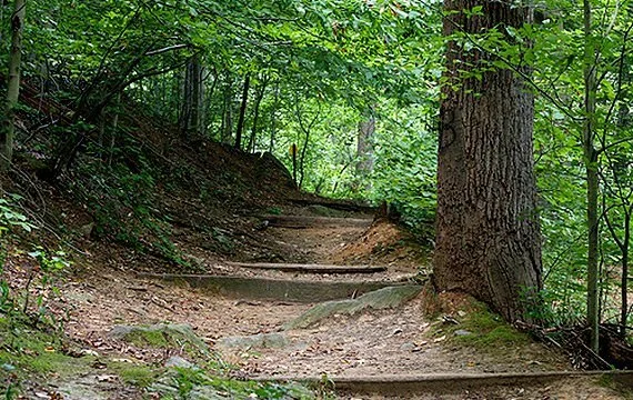 Whose woods are these?