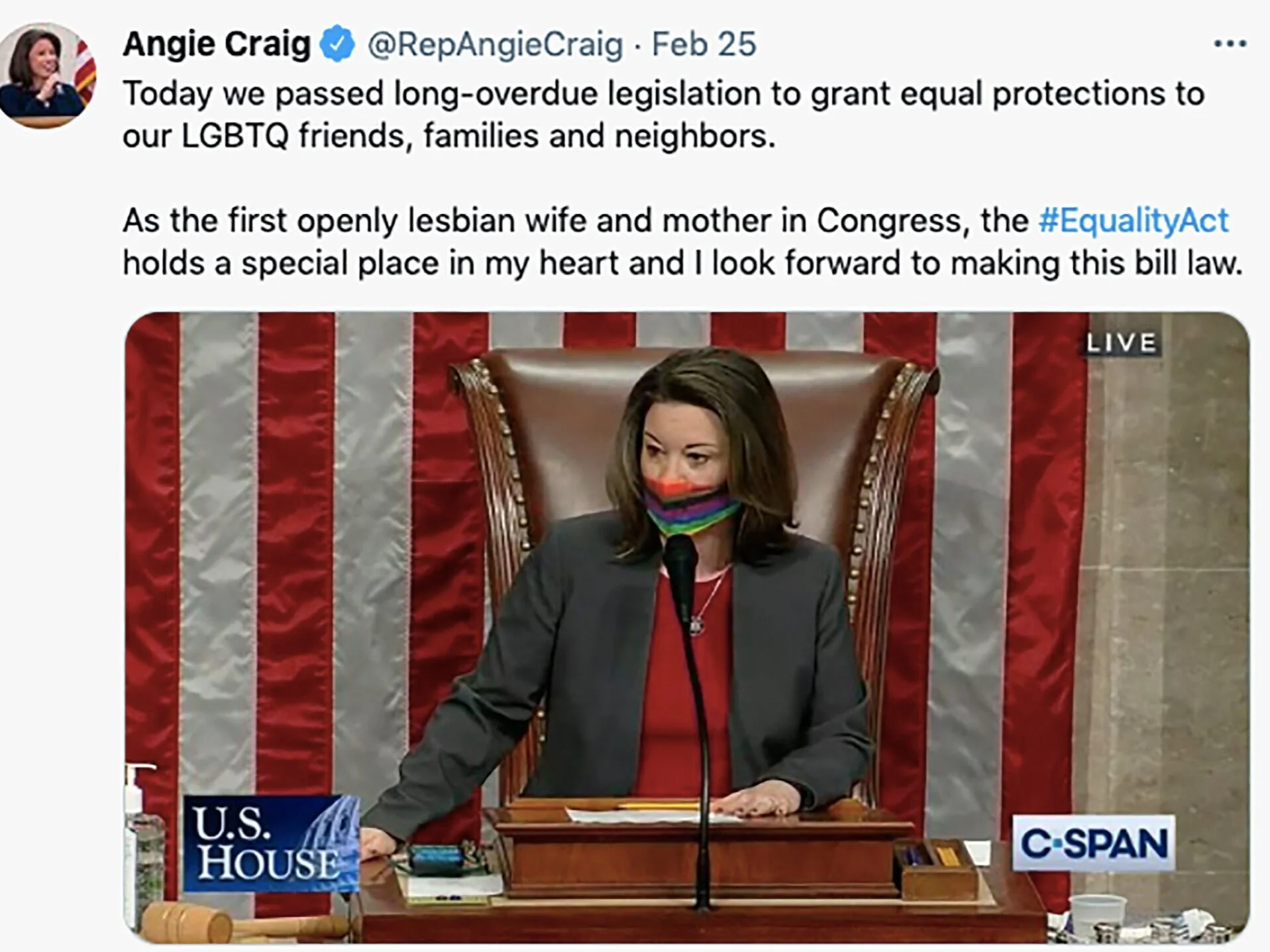 Local Face Mask Maker's Masks Worn by Members of Congress