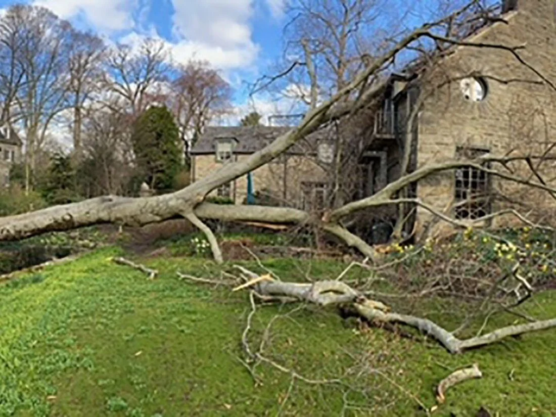 Police Blotter from Swarthmore Police Chief Raymond C. Stufflet - March 16-29