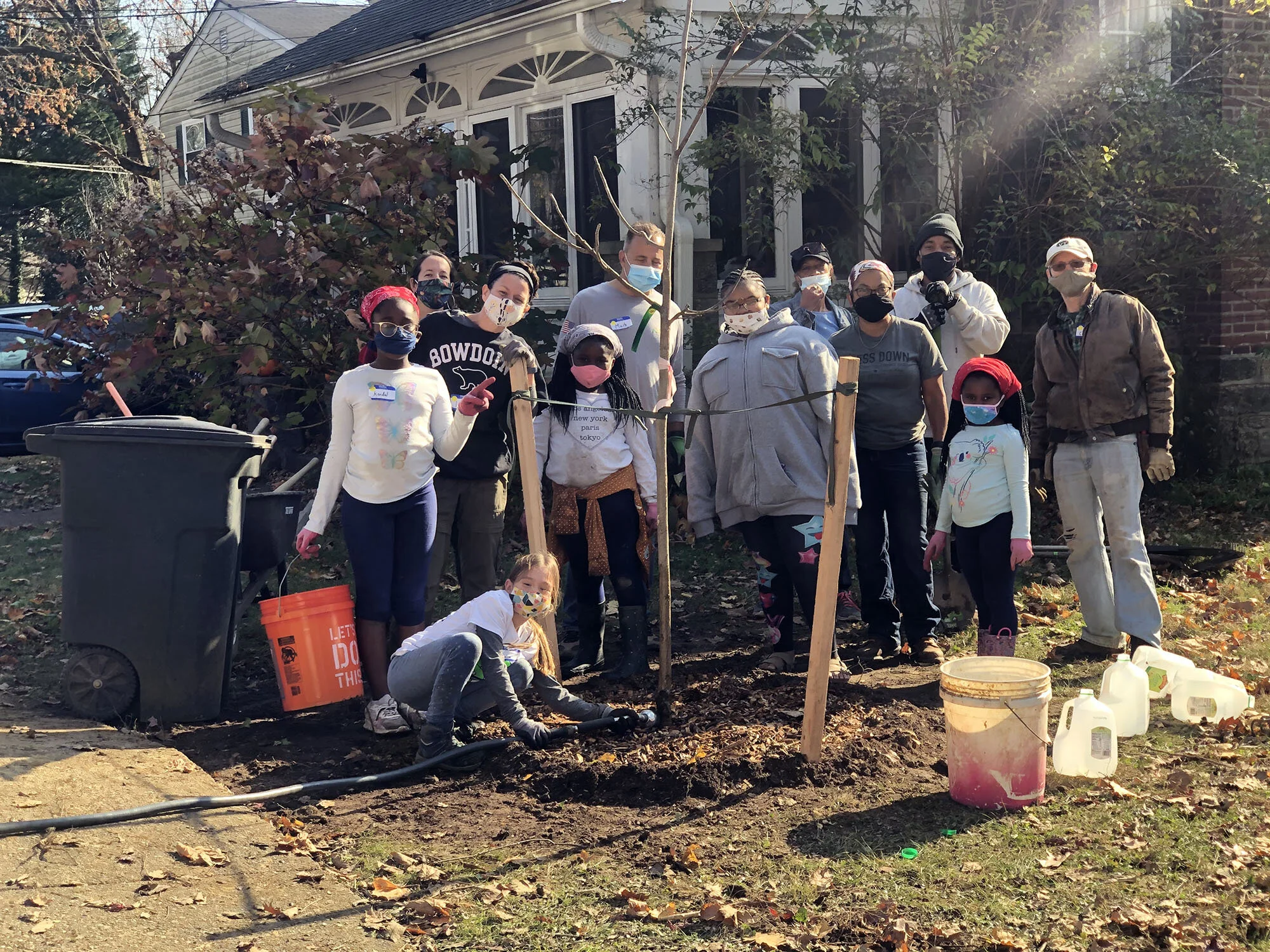 13 New Trees to be Planted