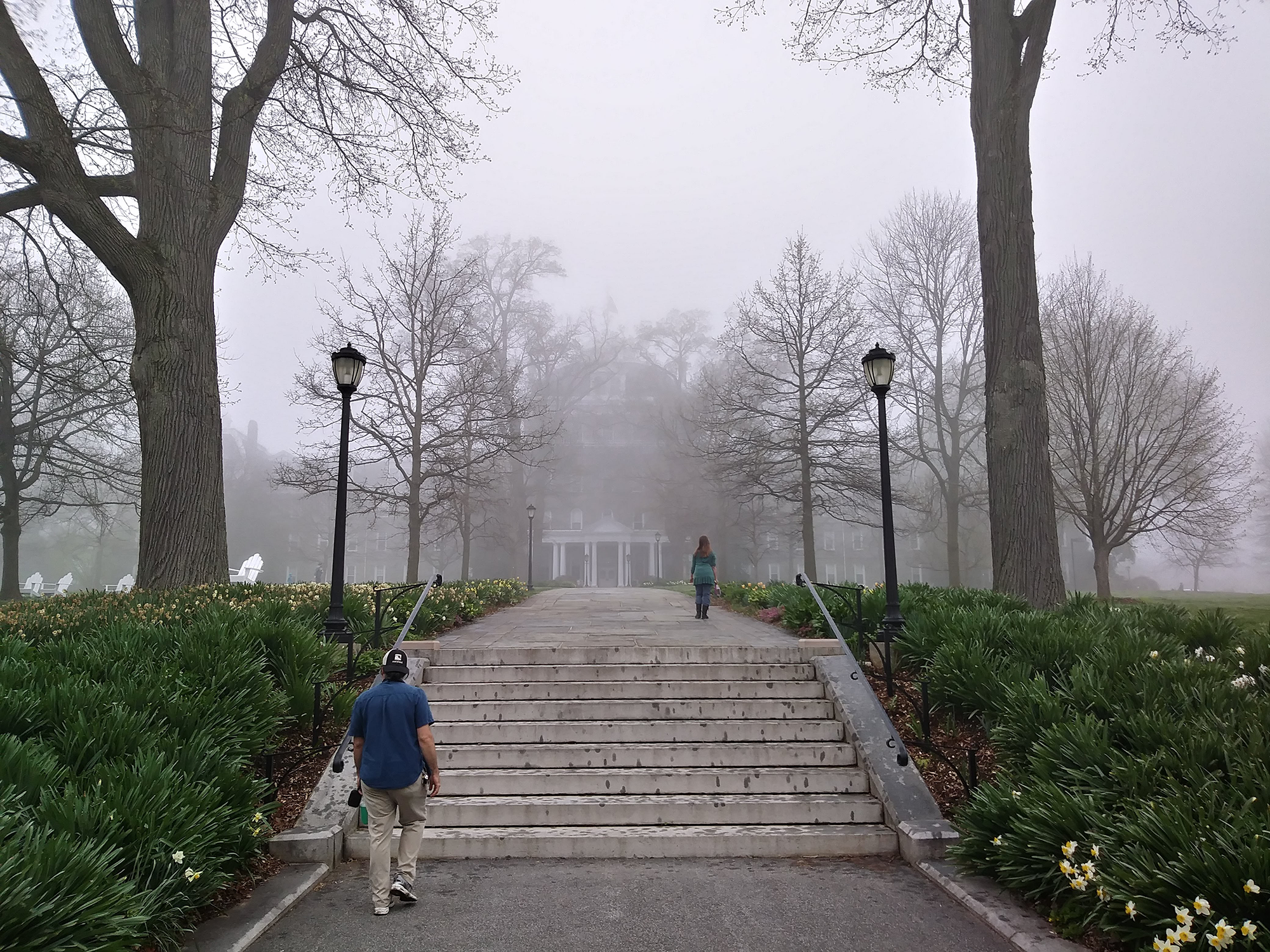  “Up Magill Walk from the train station. I am eager to walk under the canopy of those trees and check out the progress on the new building [Singer Hall].” -  Carol Williamson   (Photo: George Keighton)  