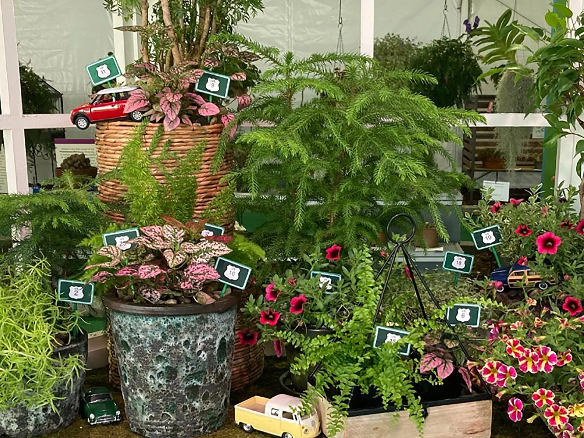 Locals Get Second Place at the Flower Show