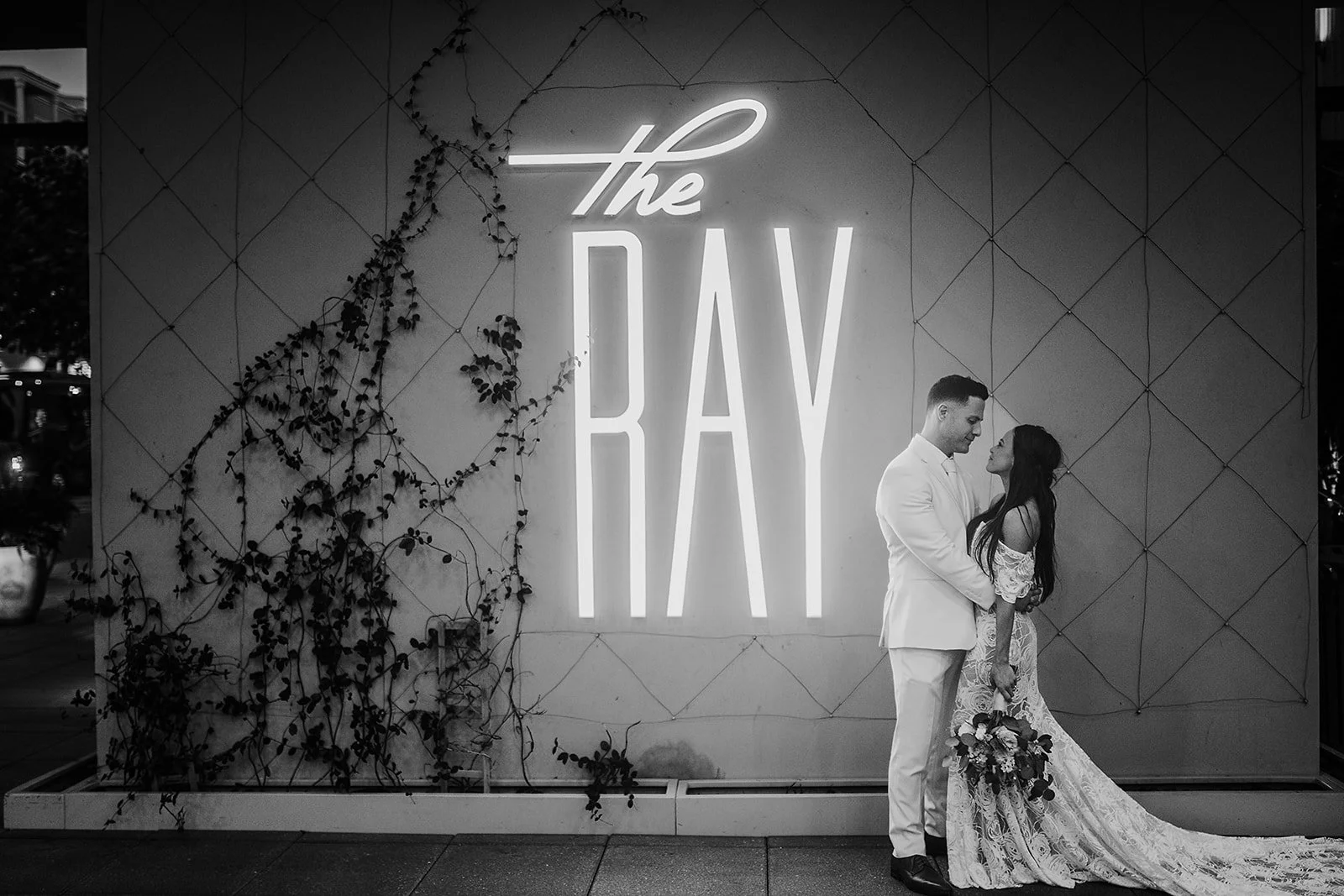 AM-337_websize (1).jpg