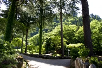 20170610123456.jpg