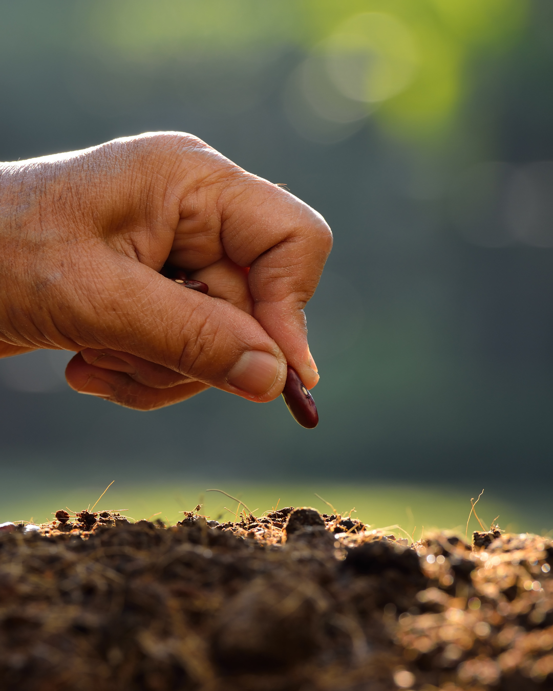 Unleash Your Financial Future: Transformative Strategies 