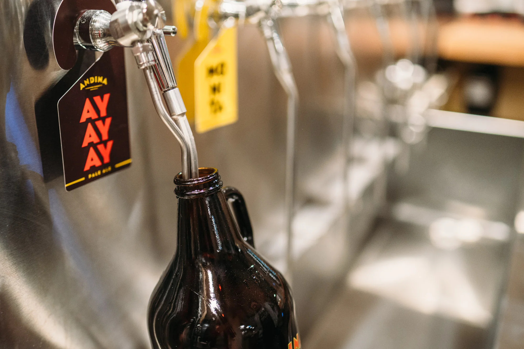 Andina Brewing Company; craft beer; vancouver; columbia; pale ale; B.C.