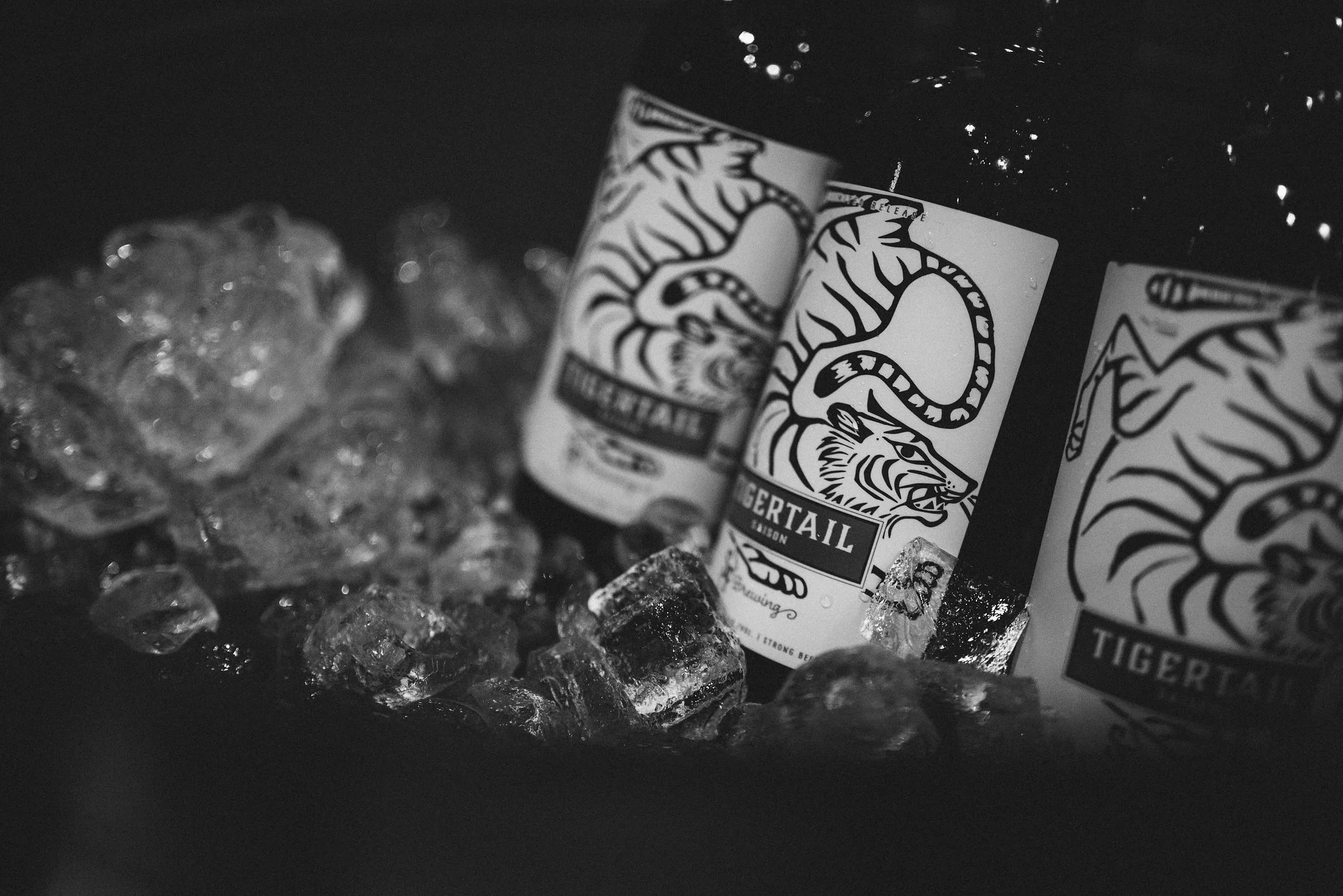 Coquitlam Craft Beer Festival Strange Fellows Brewing vanpours