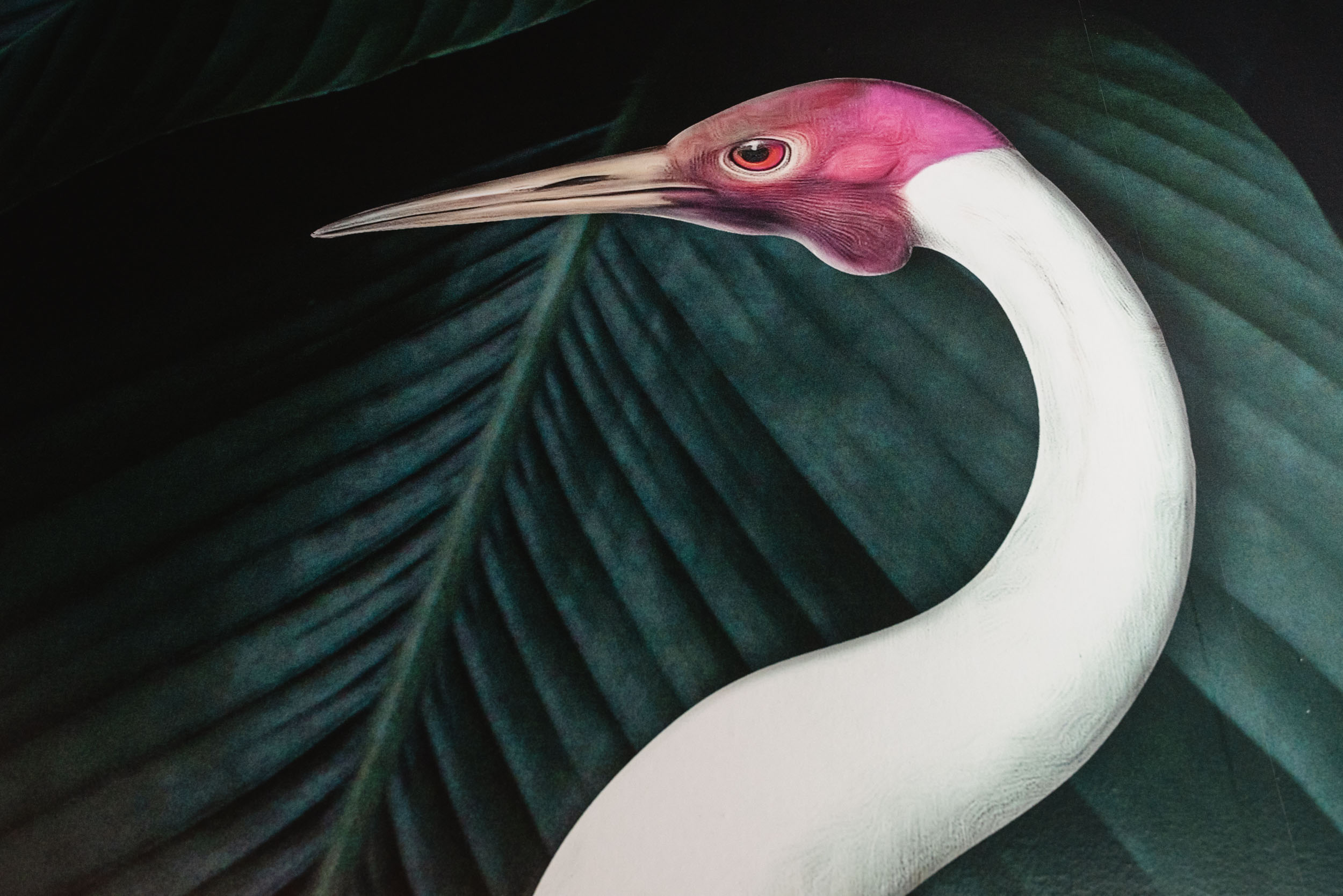 Bird mural wallpaper in bathroom