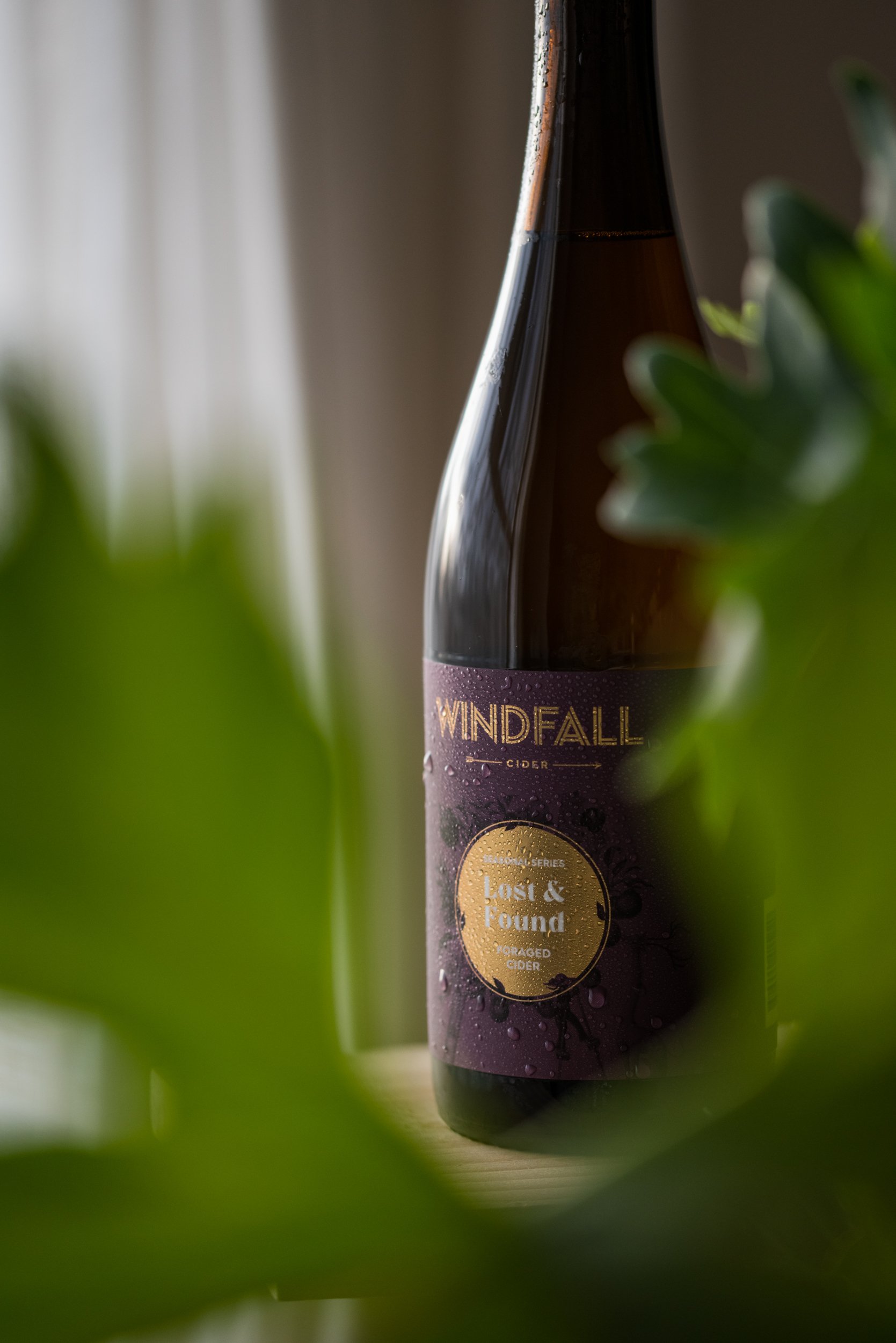 Windfall Cider bottle between leaves