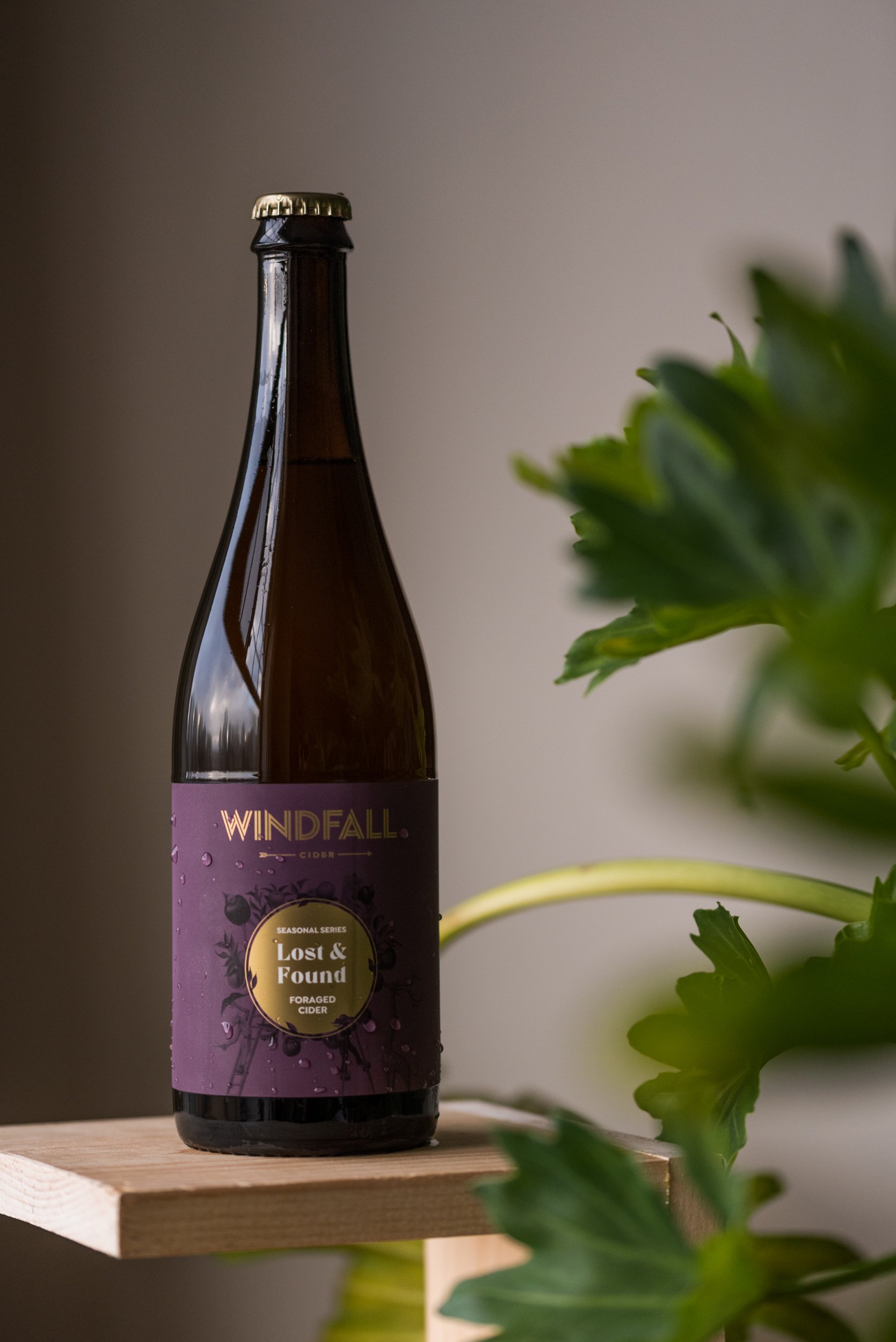 Windfall Cider bottle with plants