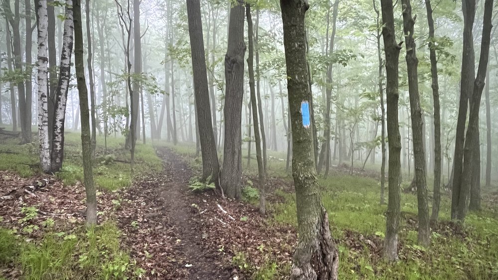 SHT-D3-Foggy Trail Sign.jpeg
