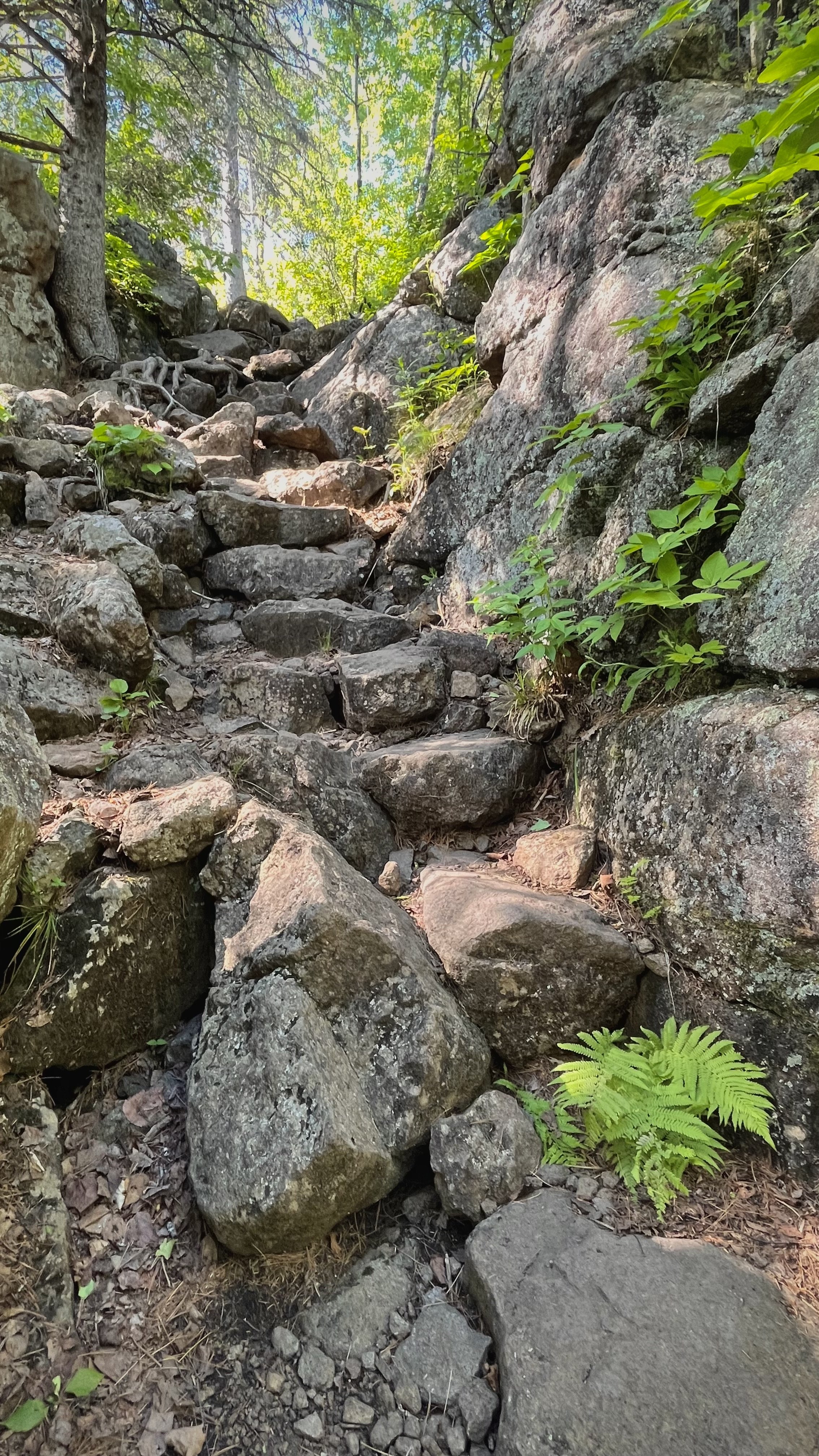Stone steps up to Wolf Rock.