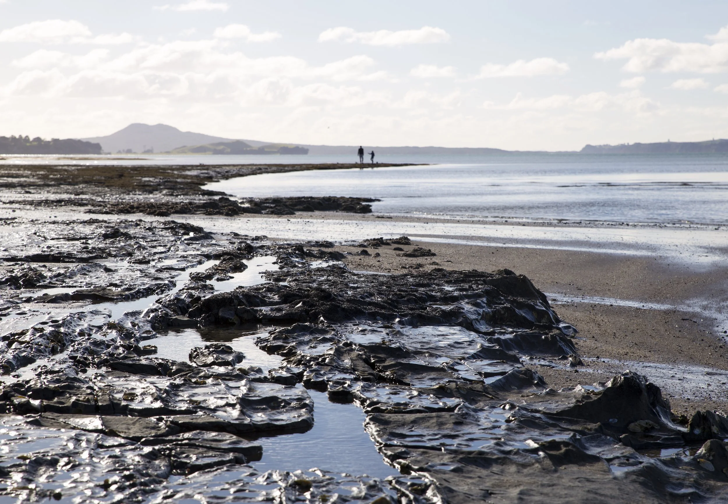 mellons bay copy.jpg