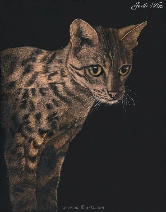 Cat_Savanna_wtrmk.jpg