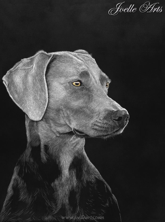 Dog_Misti_wtrmk.jpg