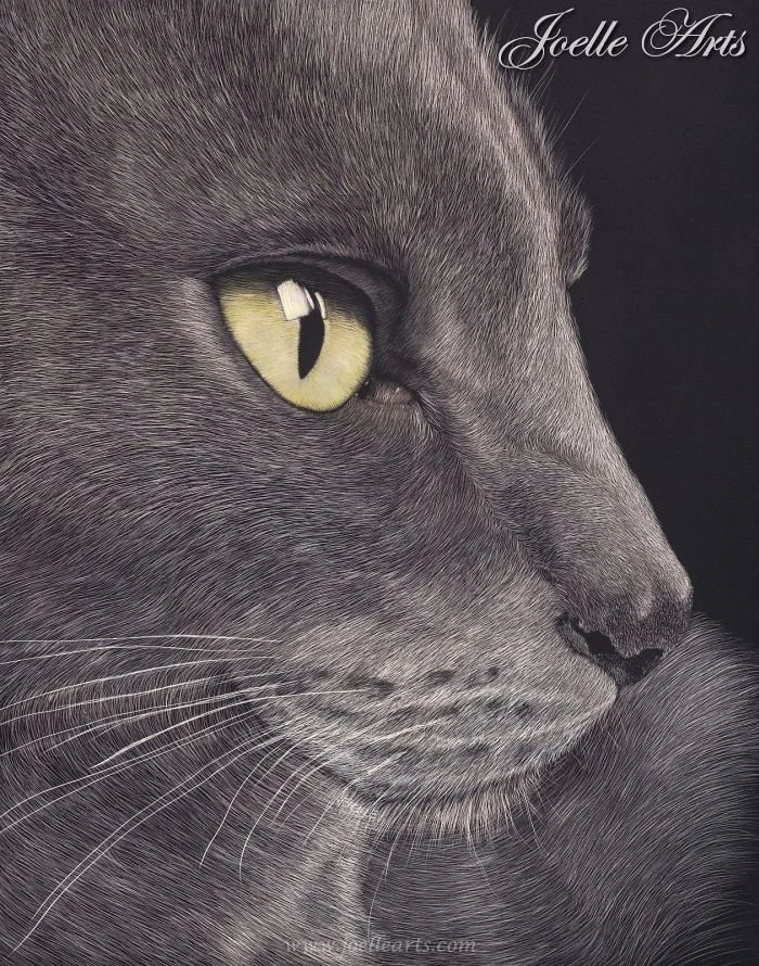 Cat_Peridot_wtrmk.jpg
