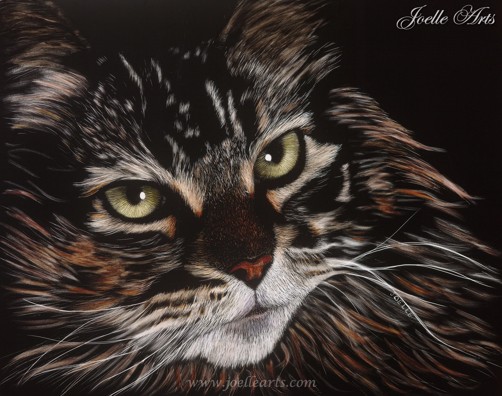 Marian's Cat - Copy_wtrmk.jpg
