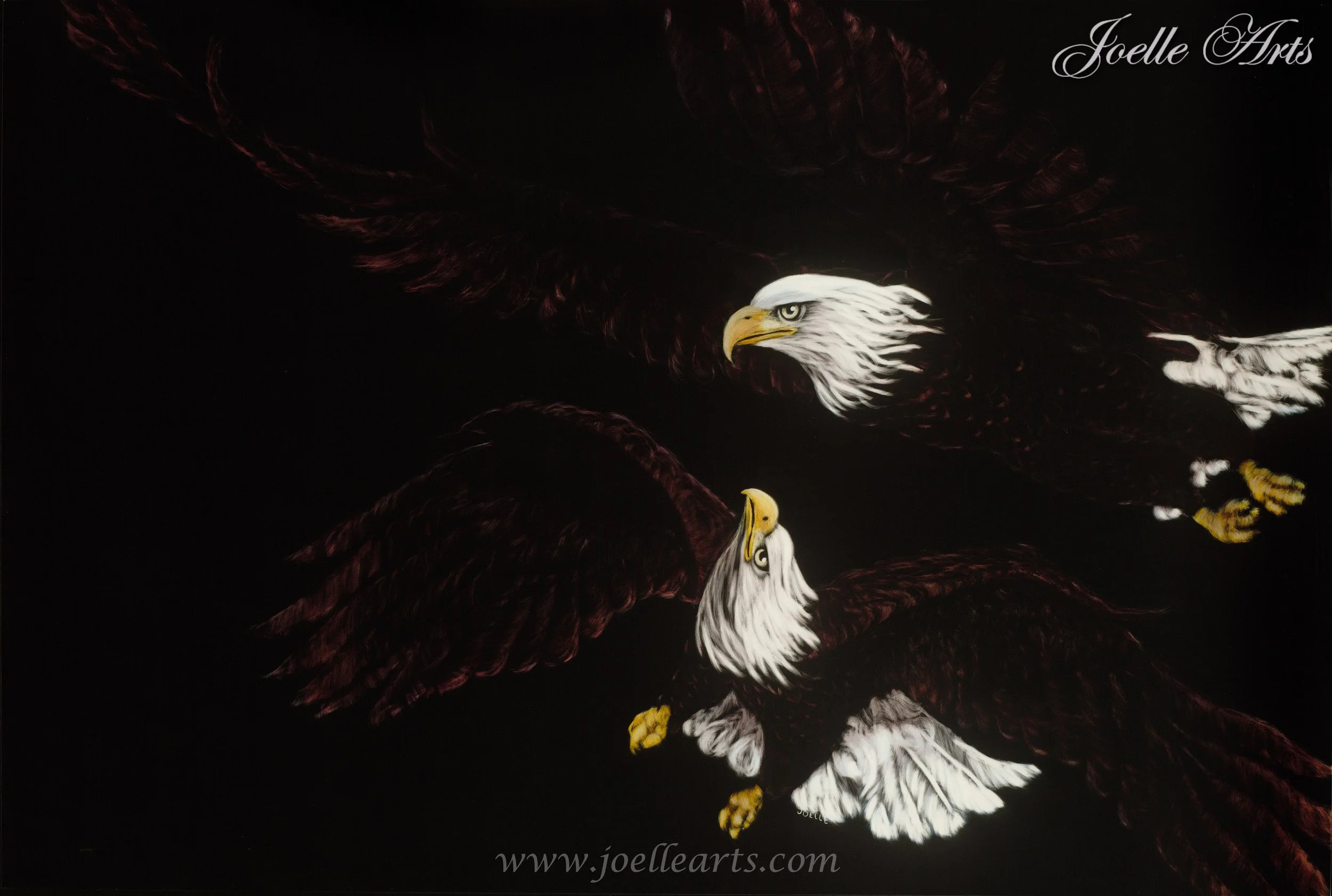 Ed's Eagle - Copy_wtrmk.jpg