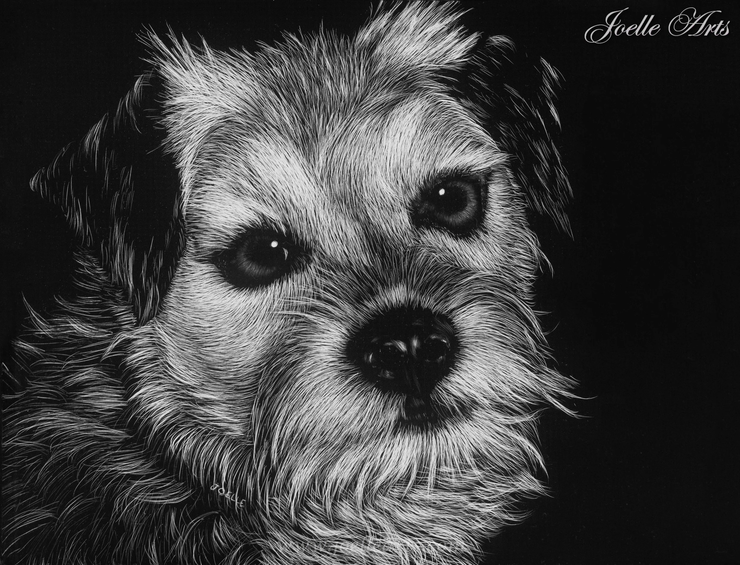 Shooter, 8/18/09, 1:40 AM, 8C, 6214x5340 (1182+1142), 100%, Custom, 1/8 s, R80.7, G62.0, B91.6