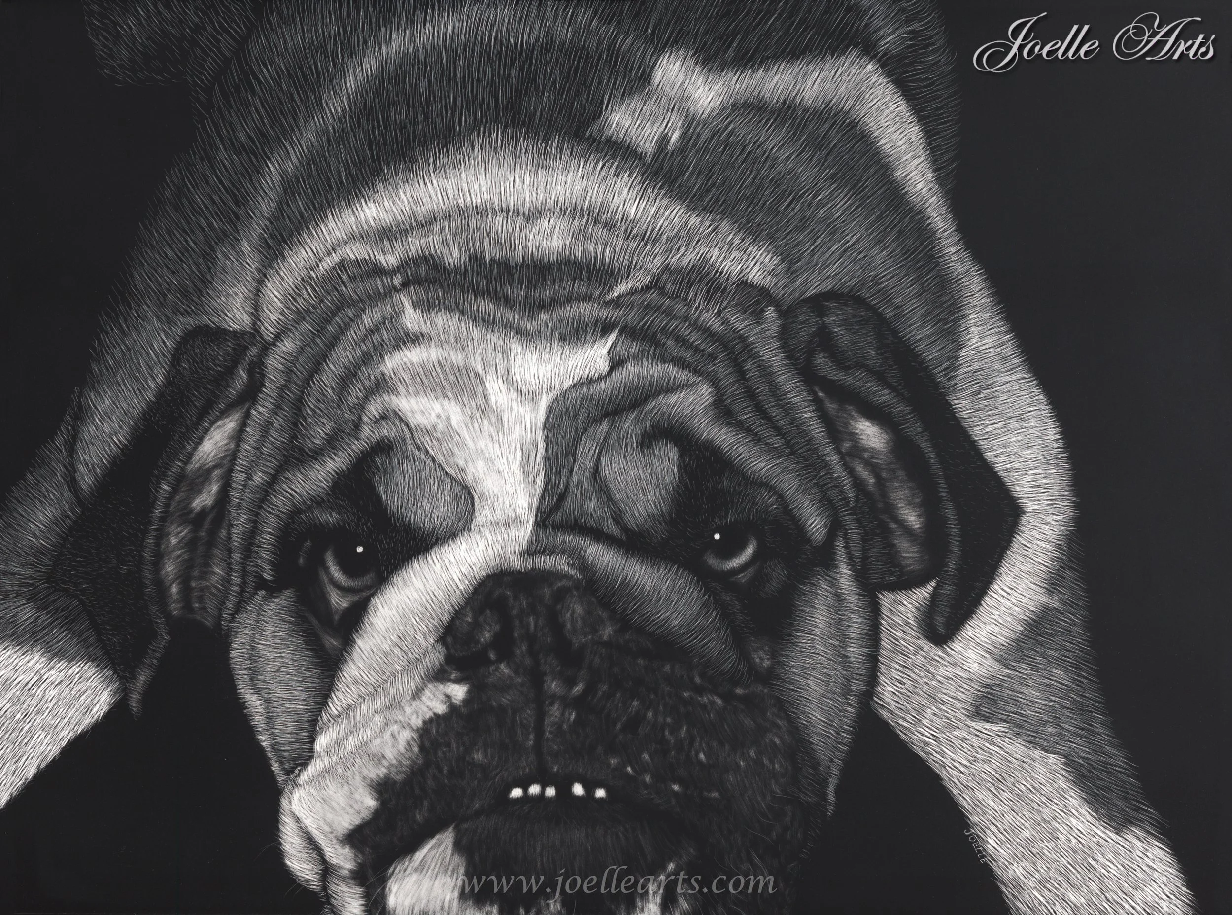 “Dozer”