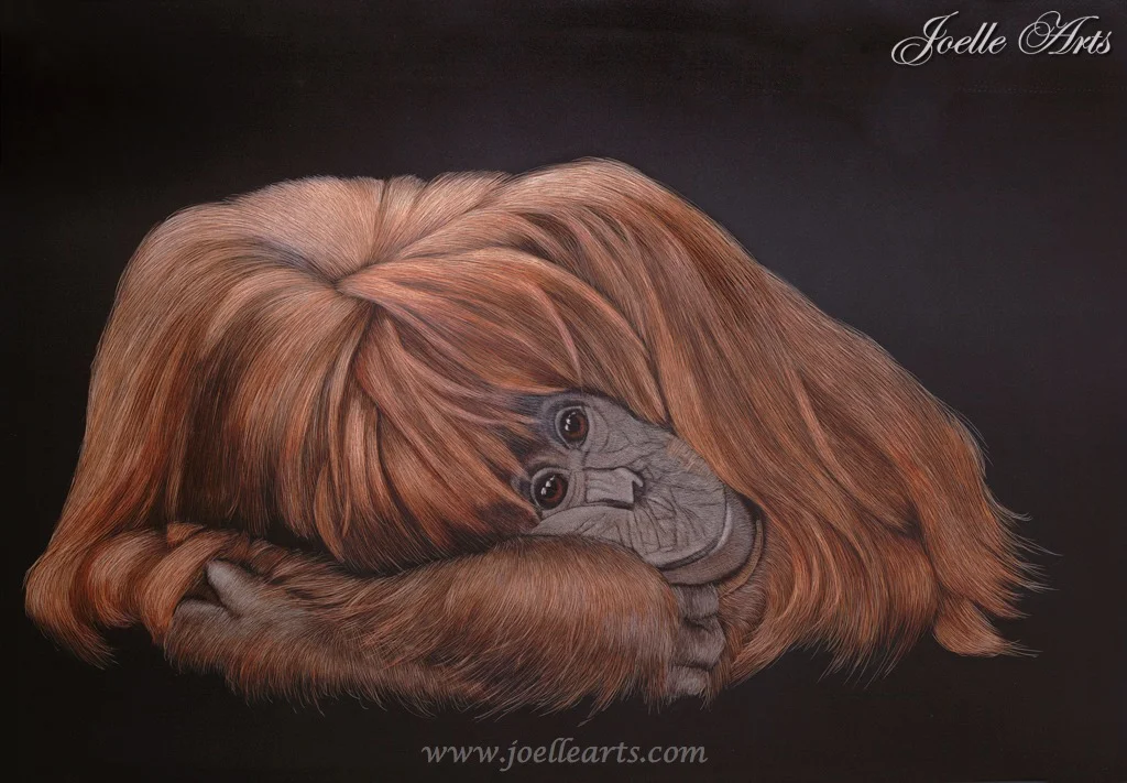 “Orangutan”