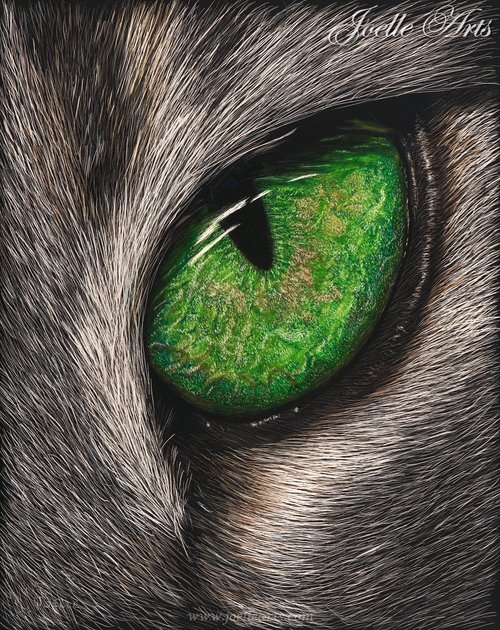 “The Emerald Gaze” The Cat’s Eye