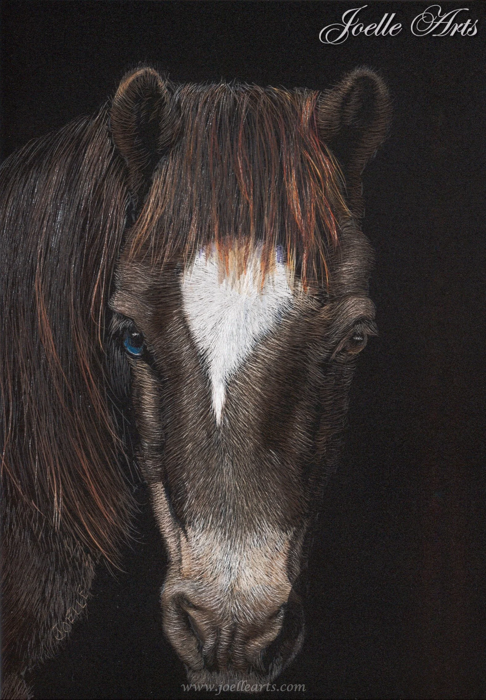 “Fancy” The Miniature Pony