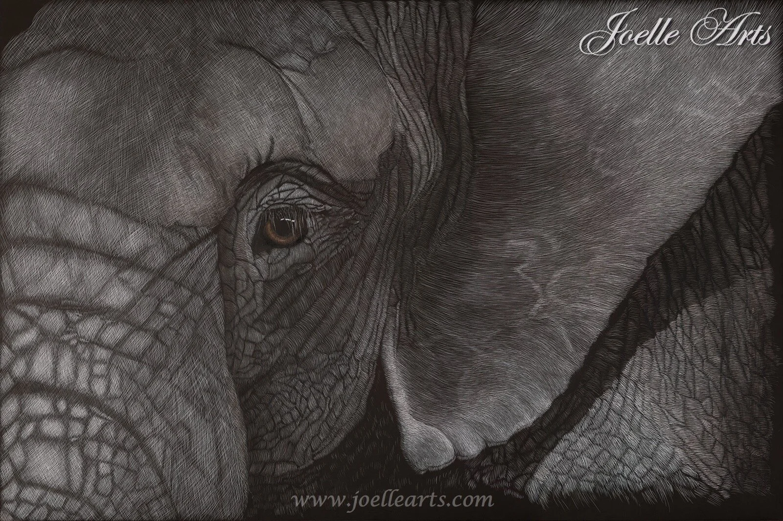 “Textured Tonnage” The Elephant