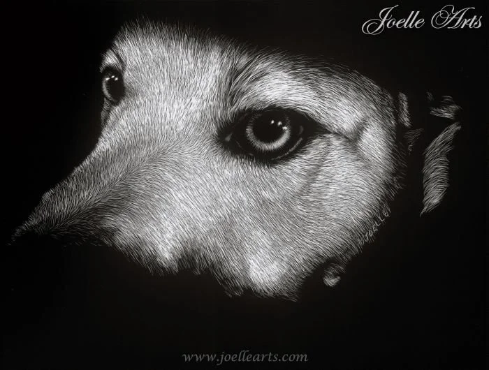Dog_Charlie_wtrmk.jpg